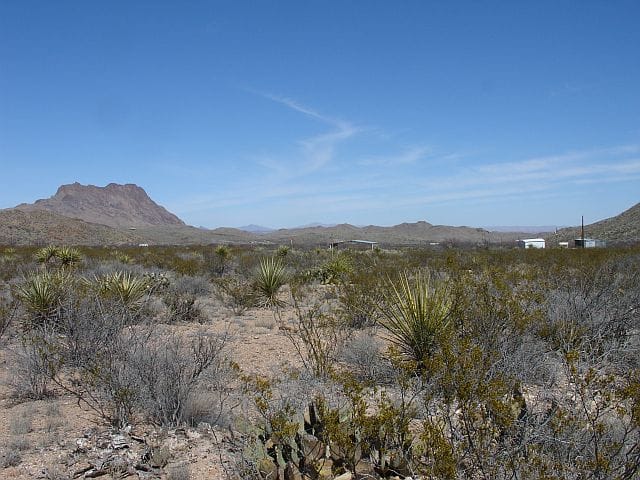 Terlingua Ranch Tract 908 photo 9
