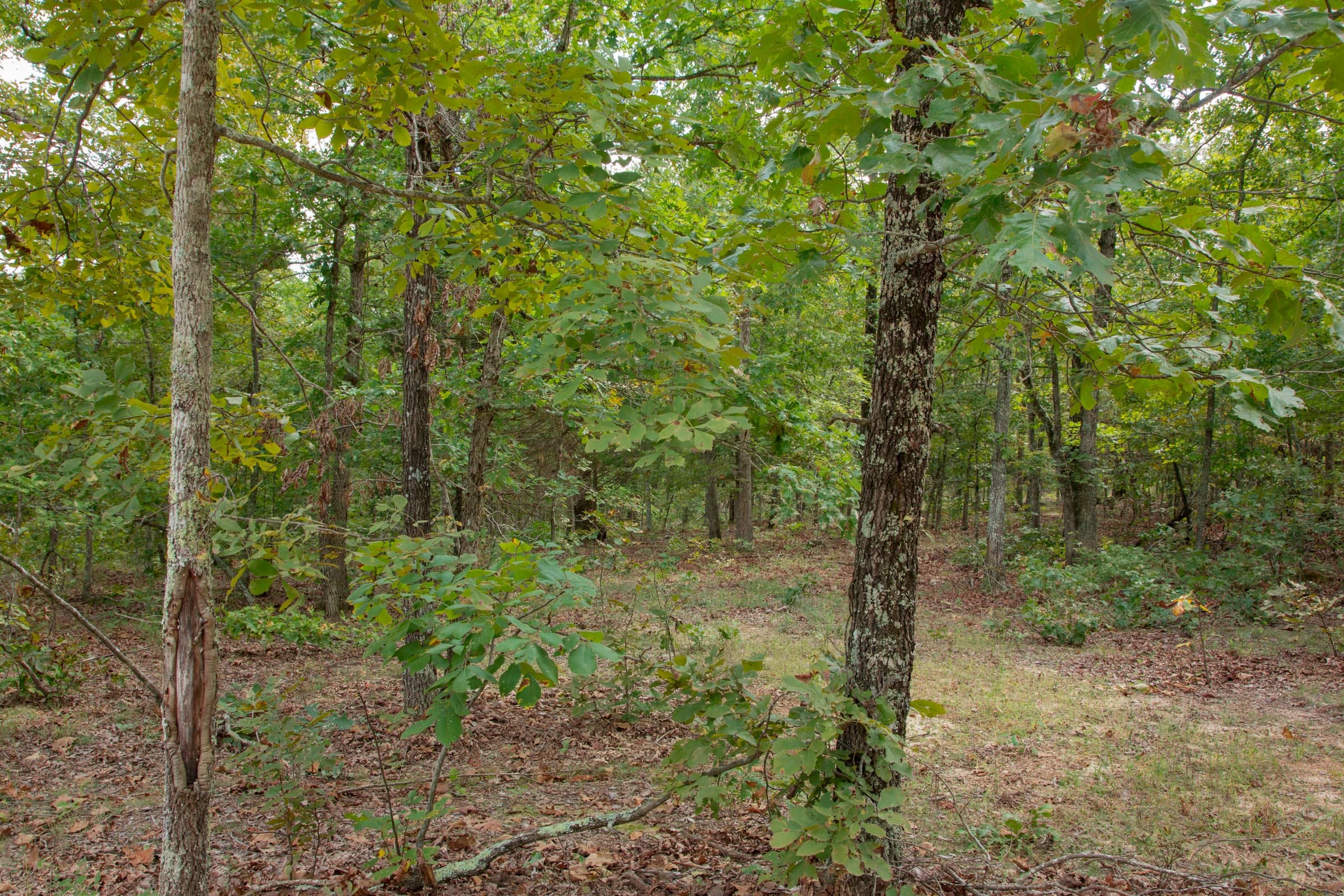 Wagon Wheel Ranch Tract 53 photo 3