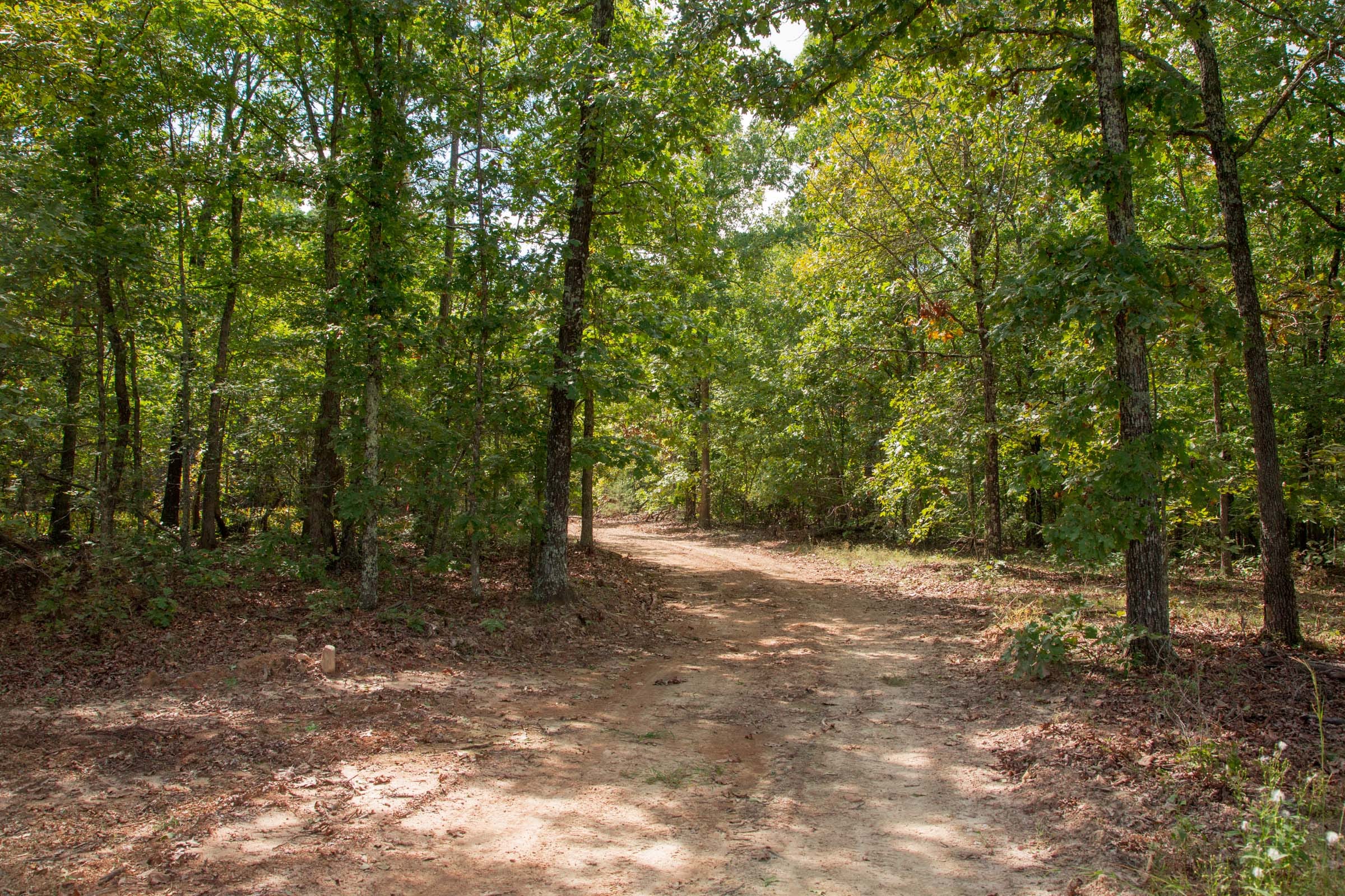 Wagon Wheel Ranch Tract 53 photo 5