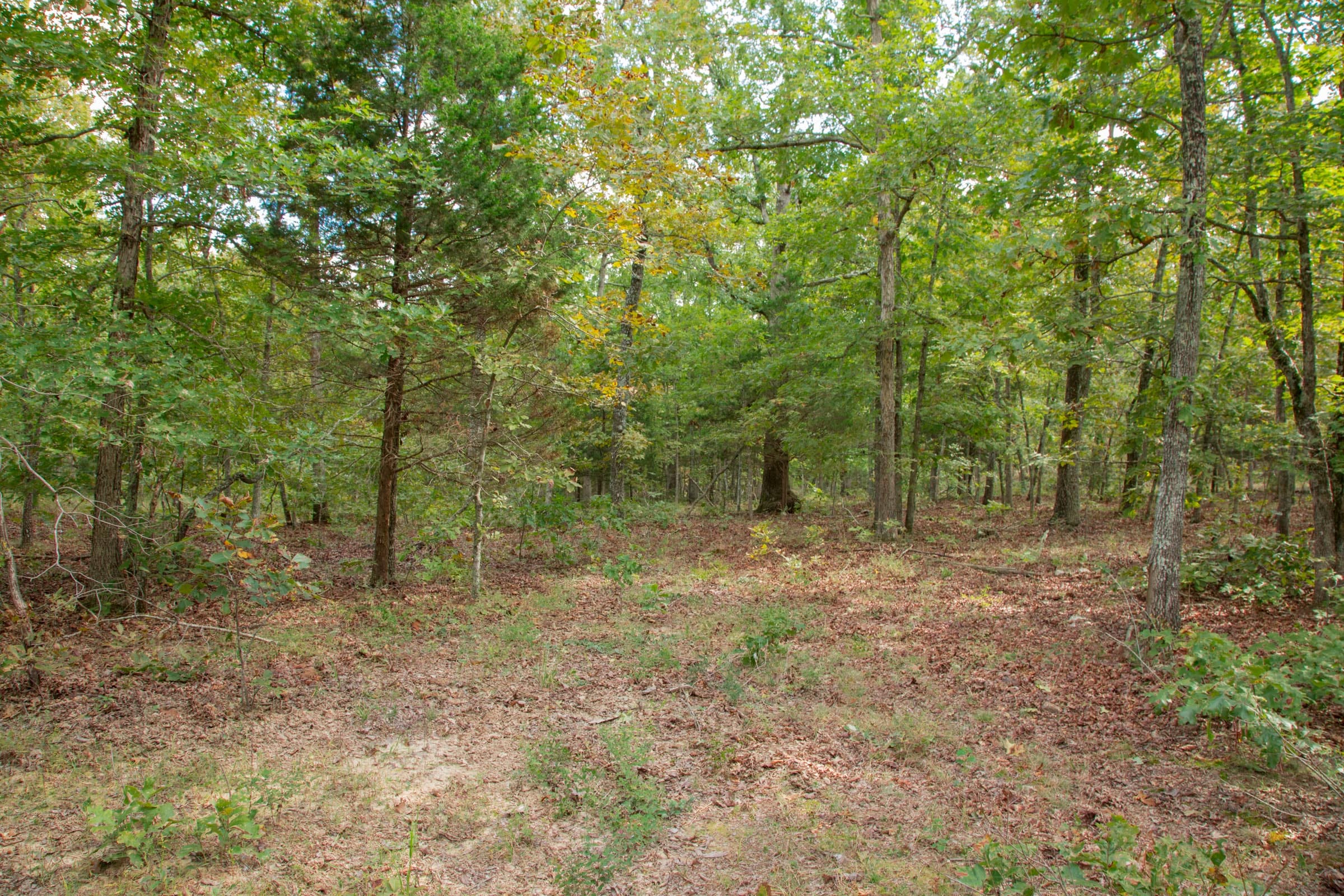 Wagon Wheel Ranch Tract 53 photo 7