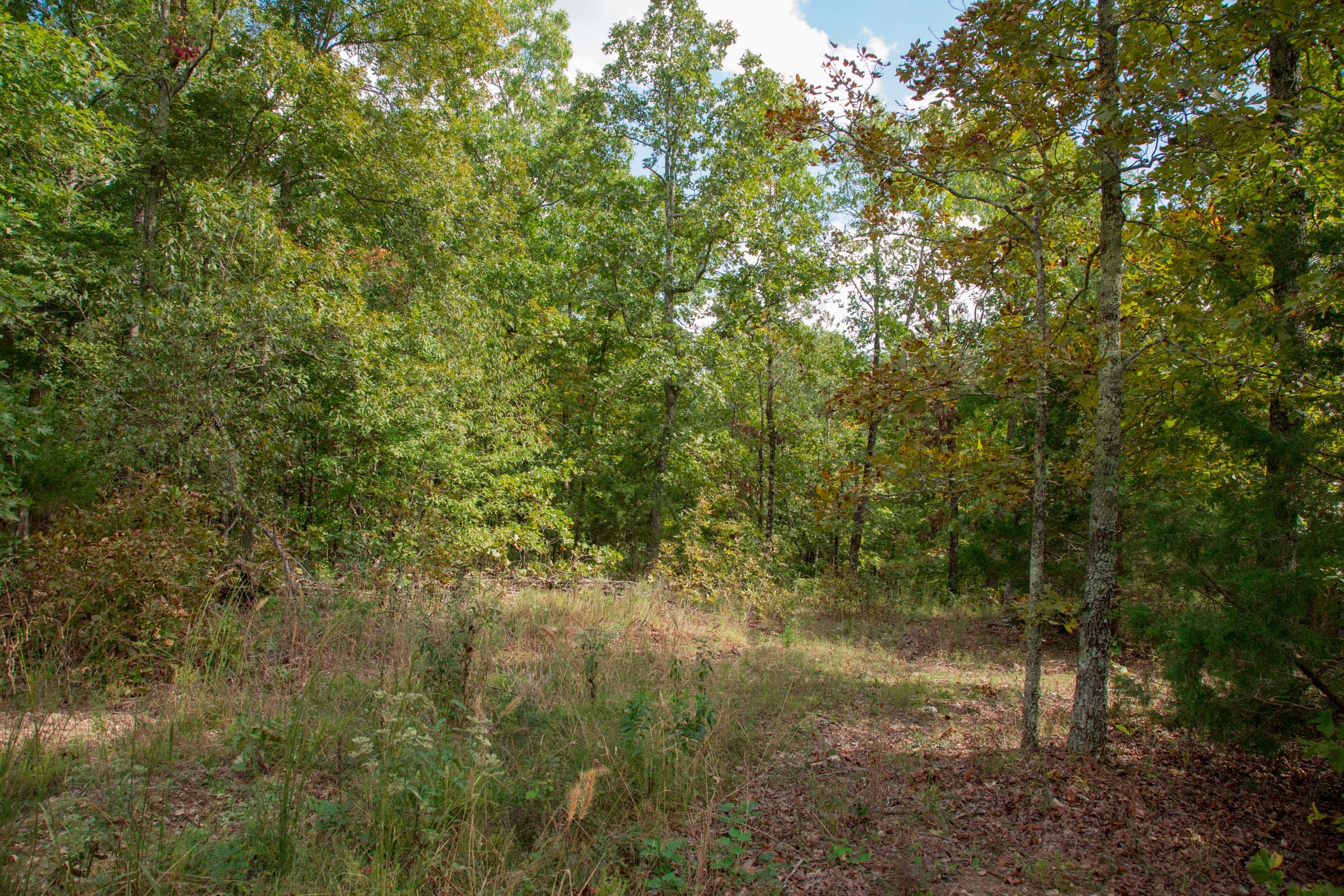 Wagon Wheel Ranch Tract 53 photo 1