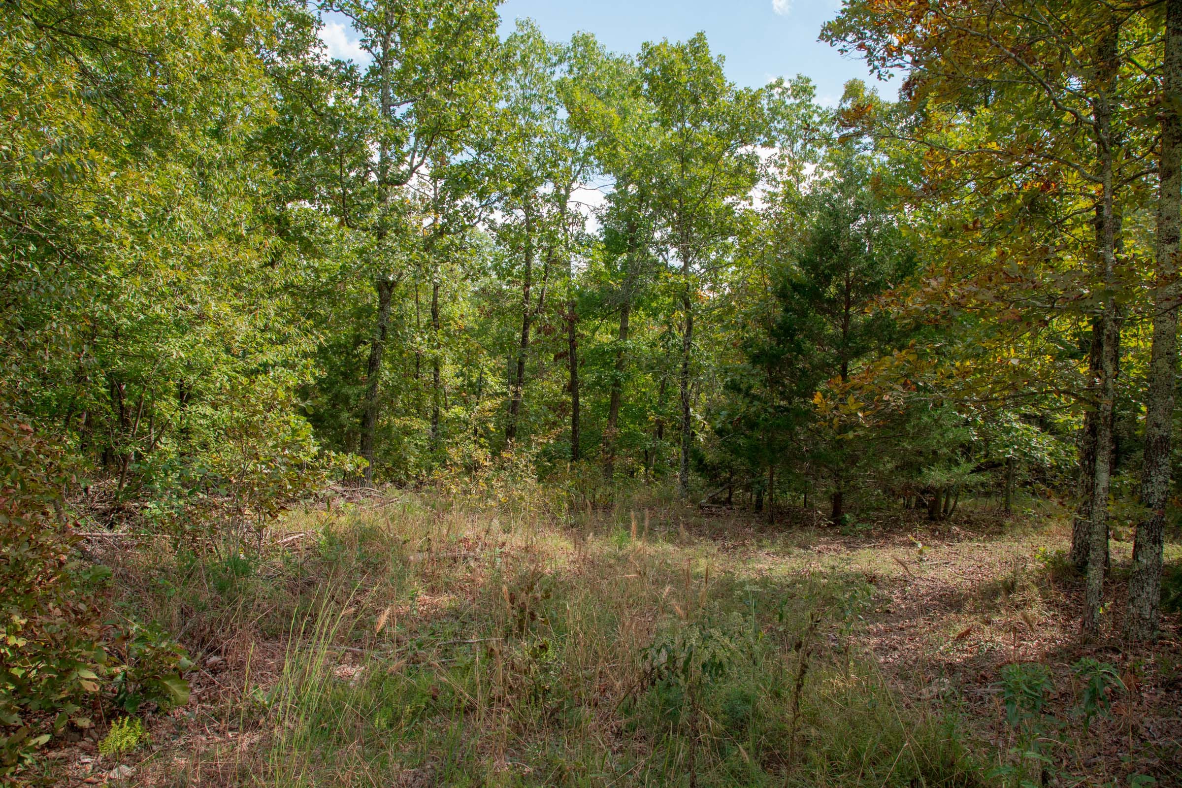 Wagon Wheel Ranch Tract 53 photo 9