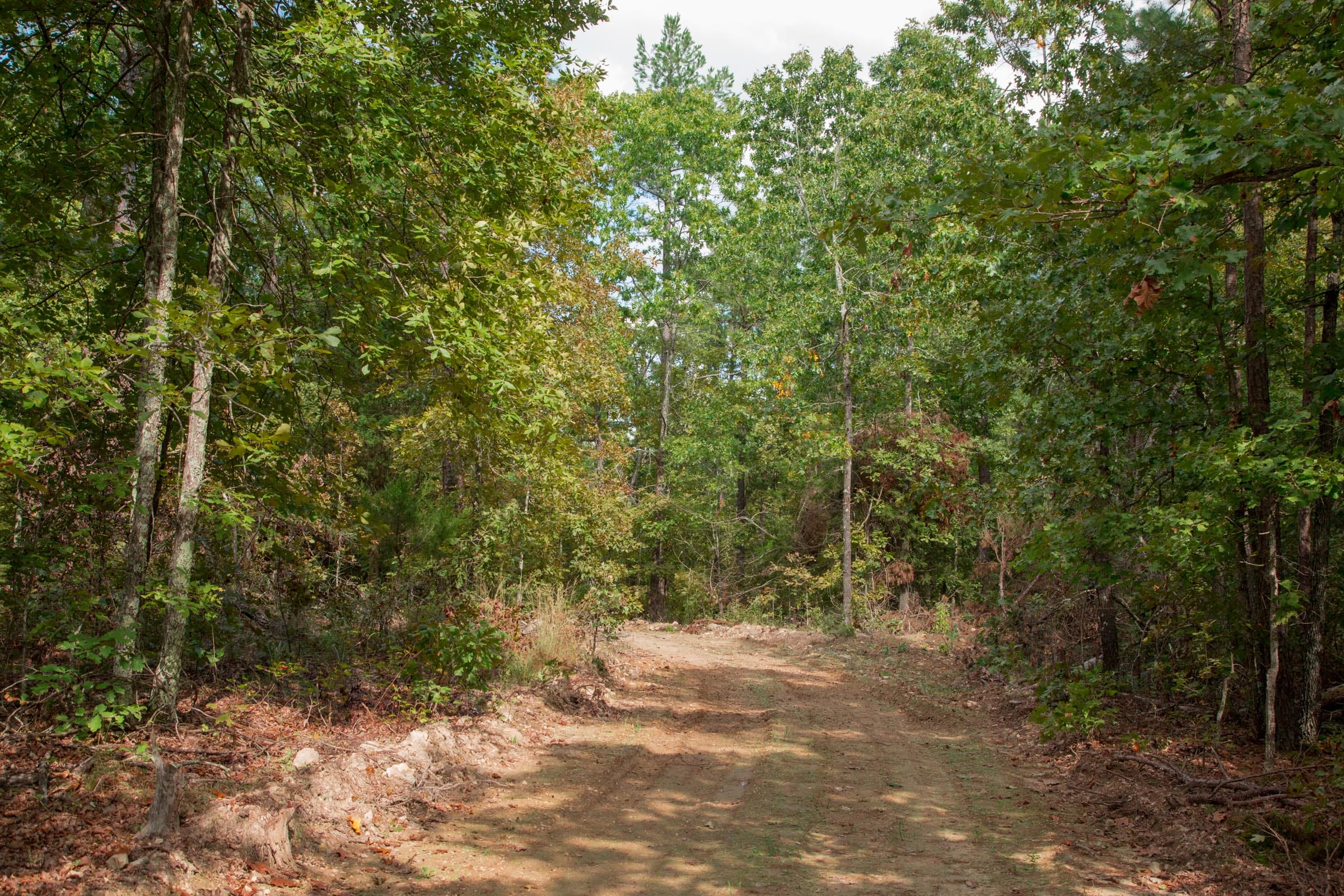 Wagon Wheel Ranch Tract 53 photo 10