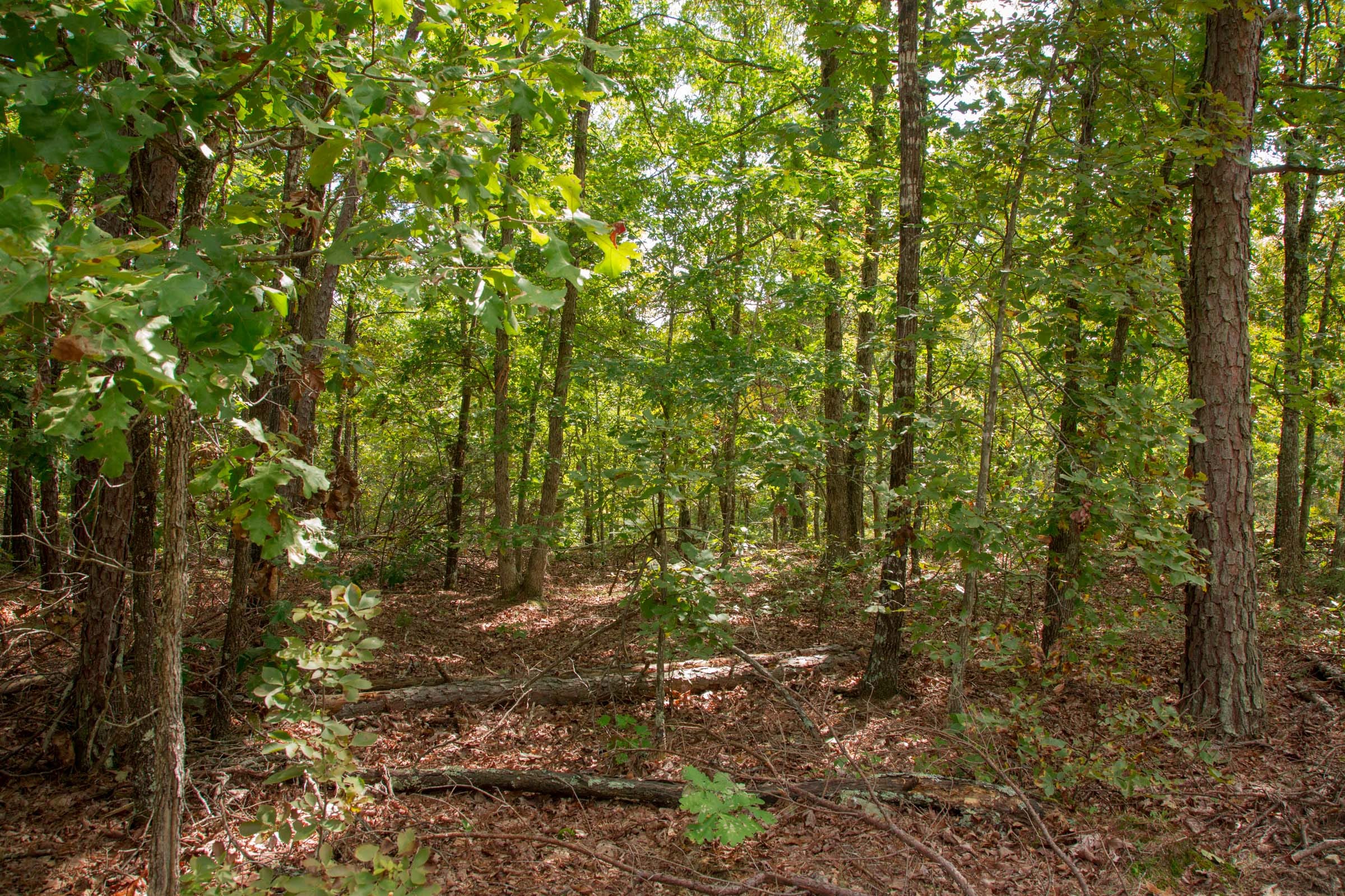 Wagon Wheel Ranch Tract 53 photo 13