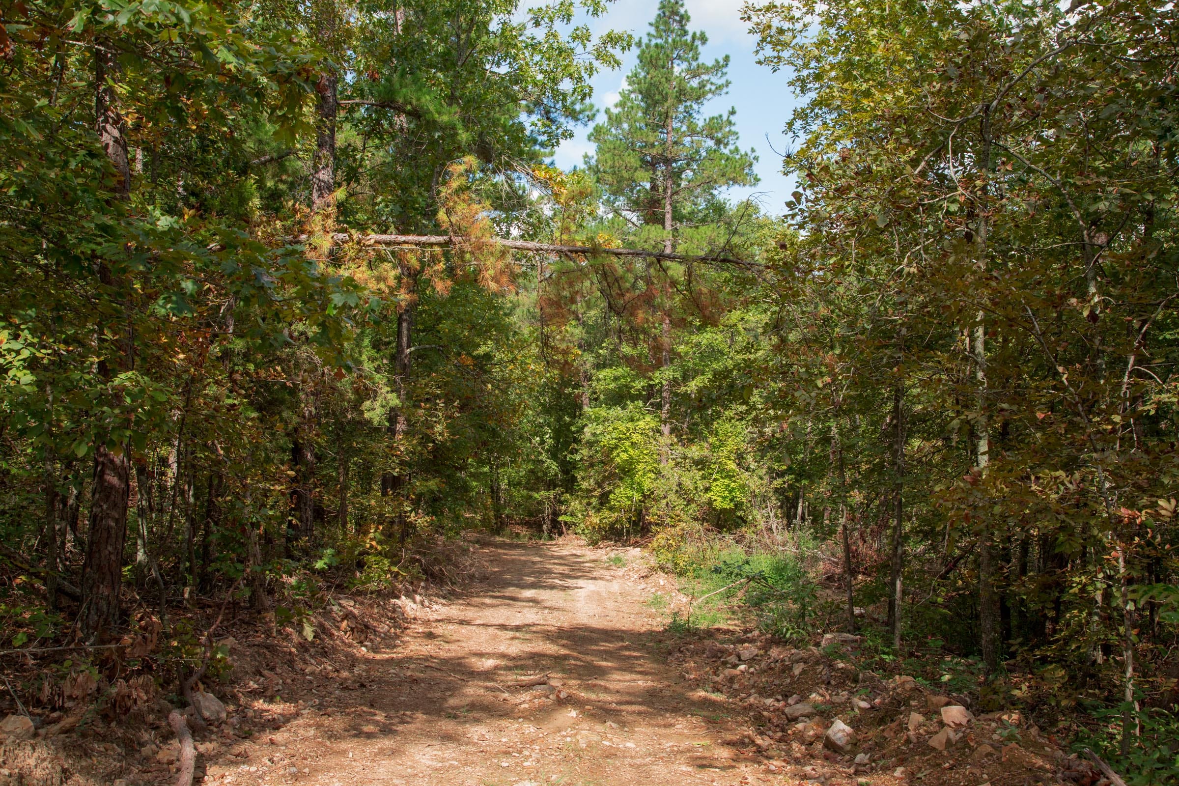 Wagon Wheel Ranch Tract 53 photo 14