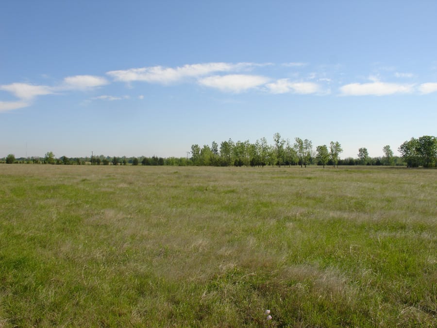 Red River Ranch Tract 4 photo 4