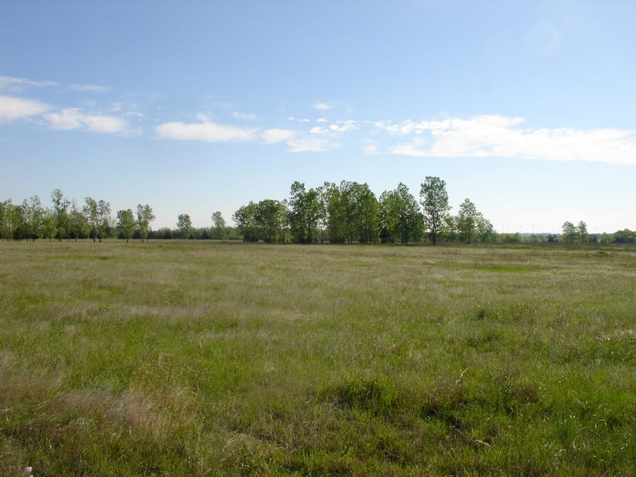 Red River Ranch Tract 4 photo 5