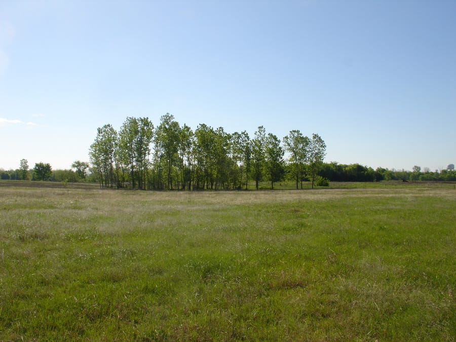 Red River Ranch Tract 4 photo 7