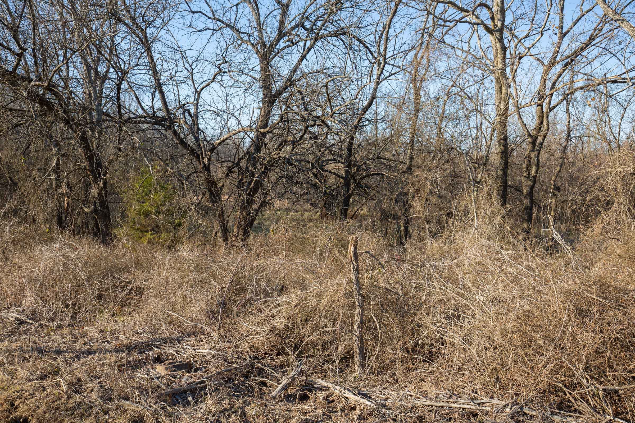 Painted Horse Tract 46 photo 3
