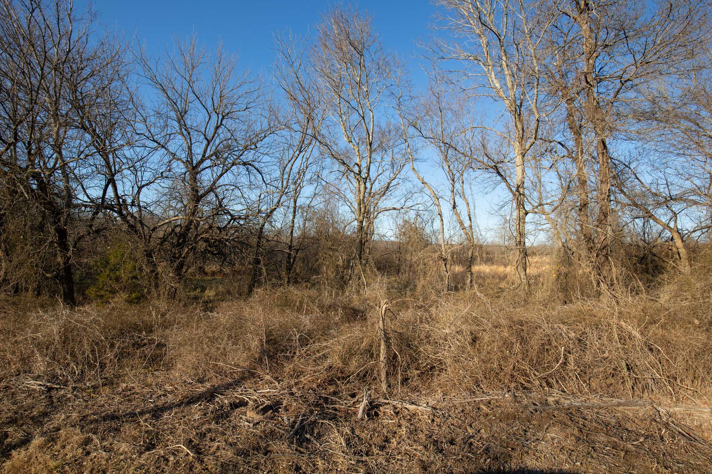 Painted Horse Tract 46 photo 4