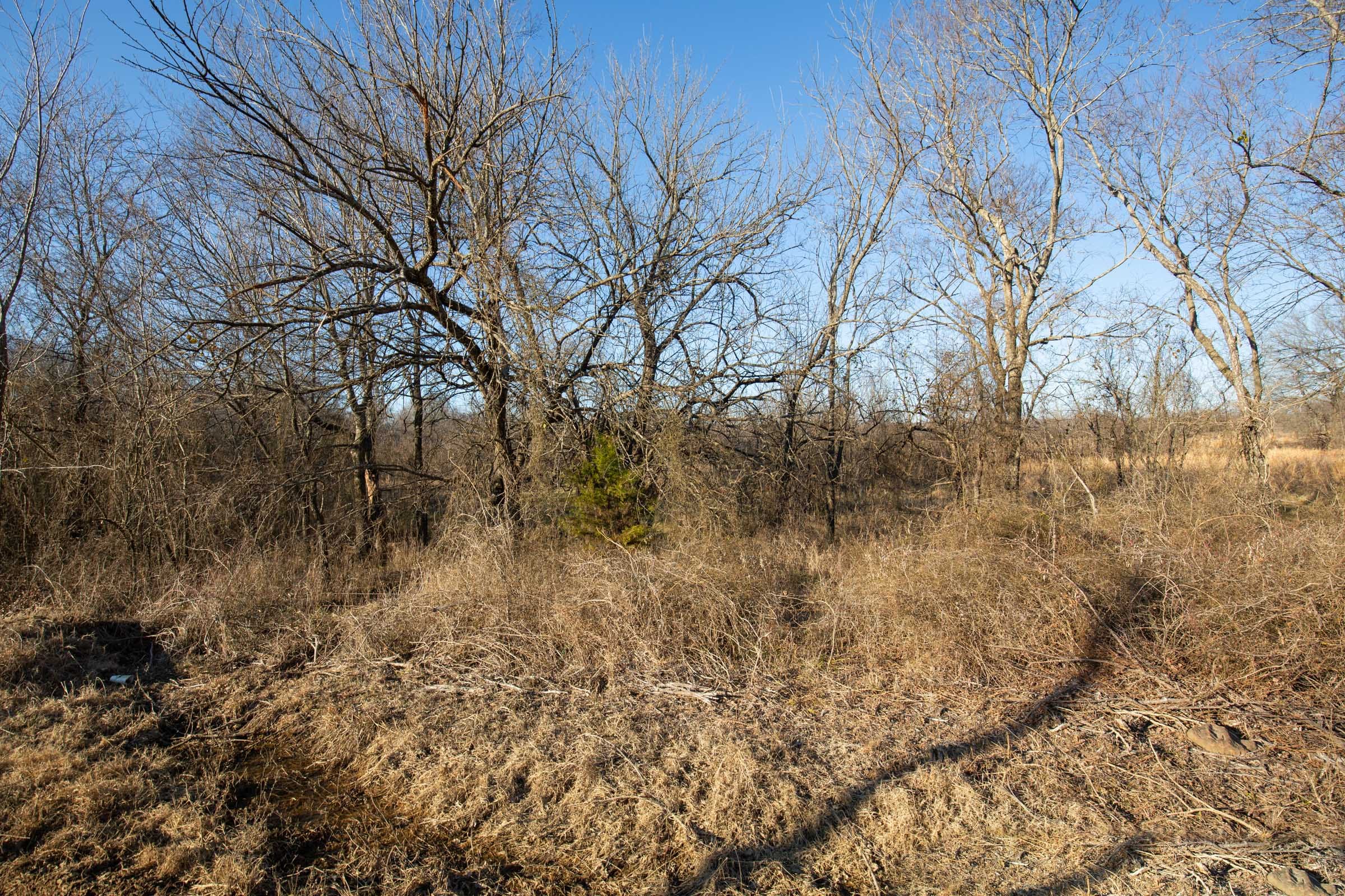 Painted Horse Tract 46 photo 5