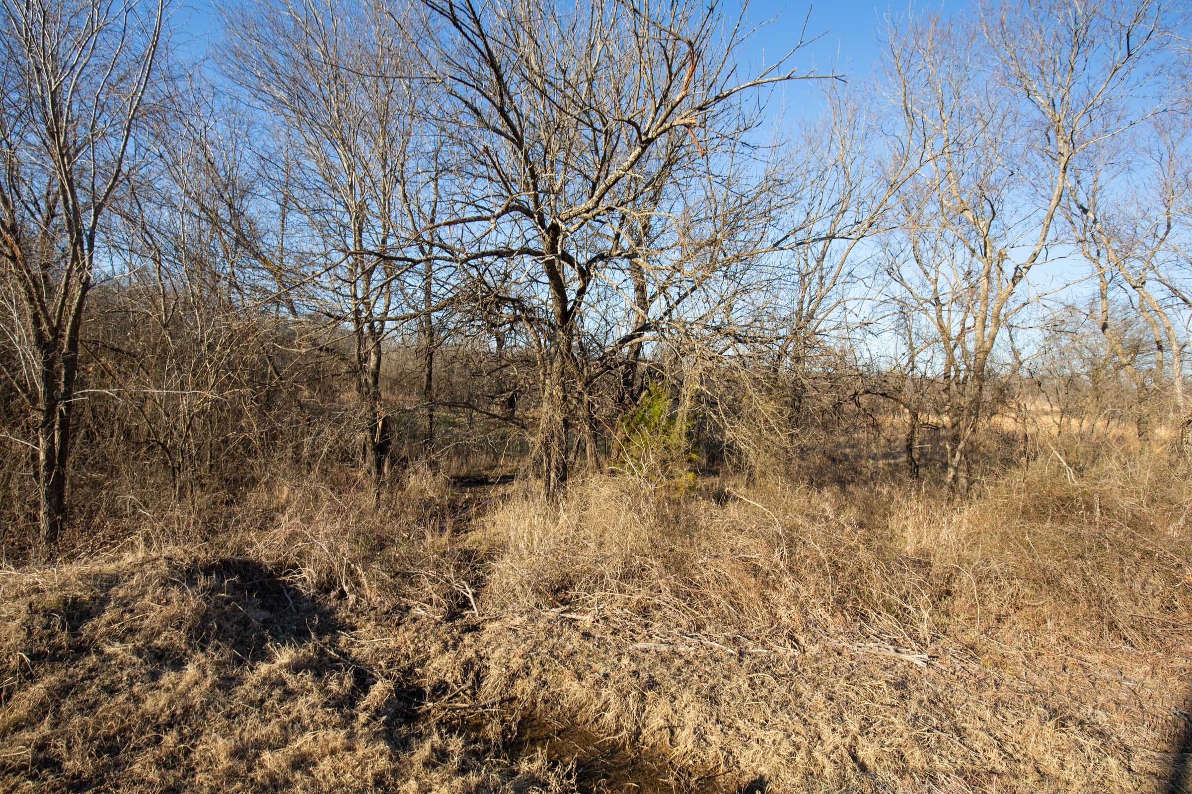 Painted Horse Tract 46 photo 6