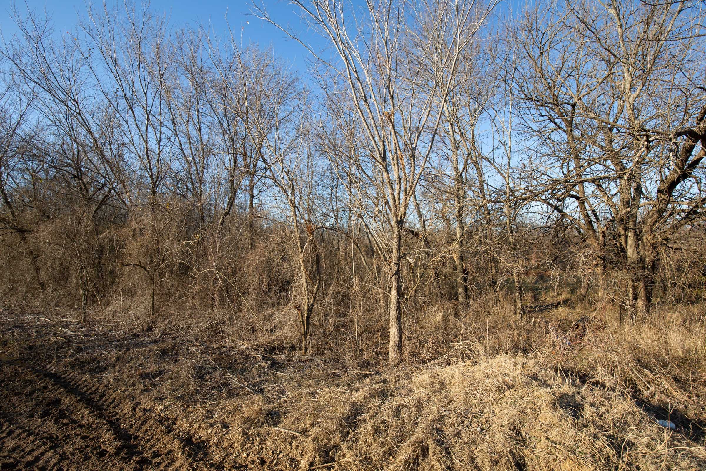 Painted Horse Tract 46 photo 7