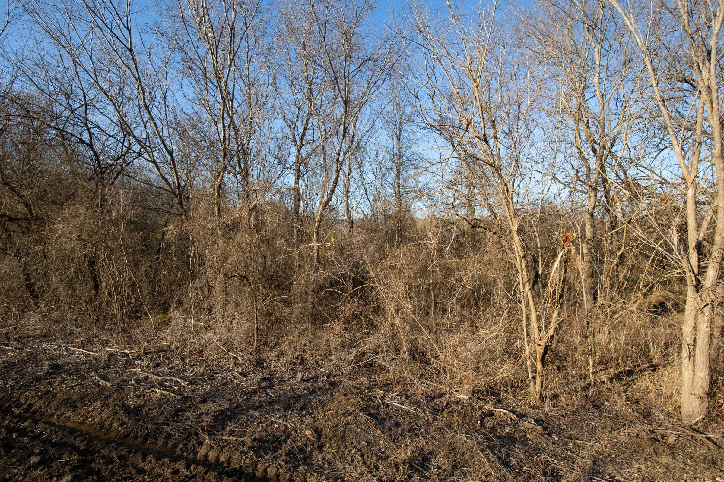 Painted Horse Tract 46 photo 9