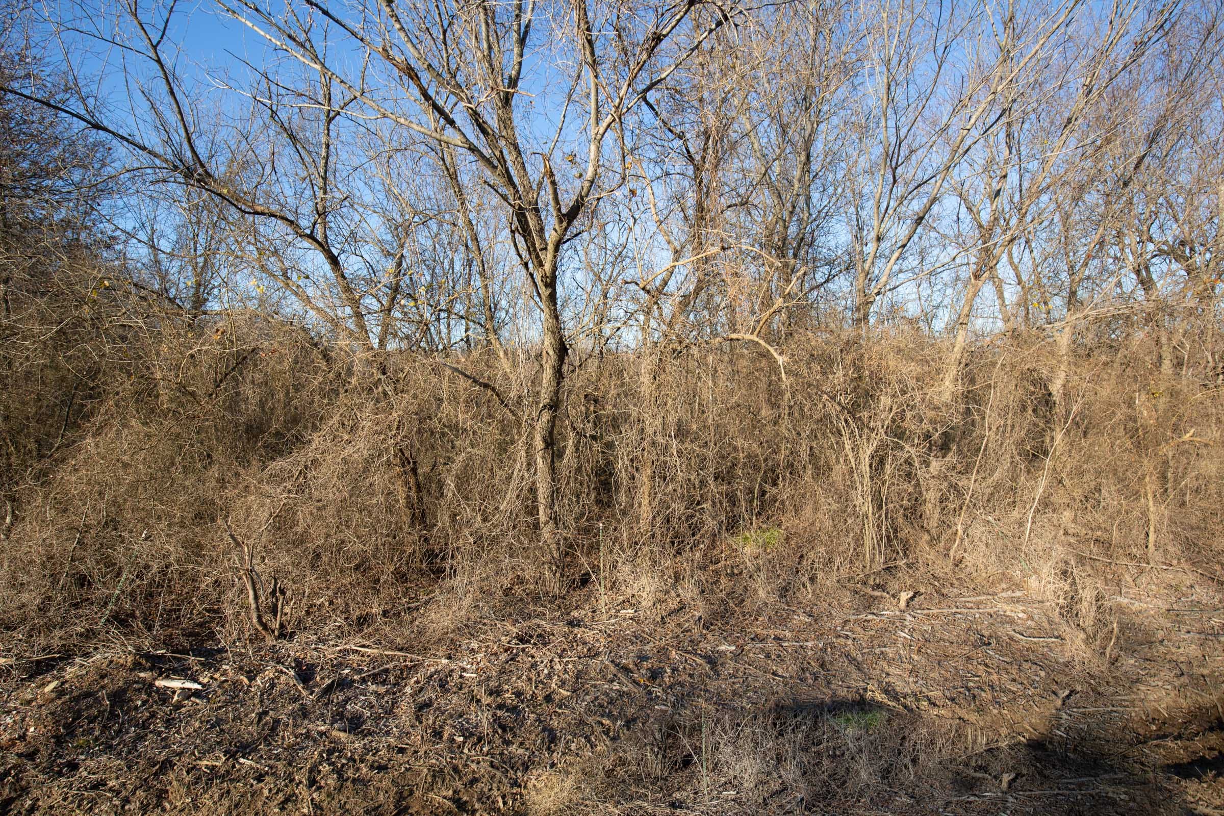 Painted Horse Tract 46 photo 10