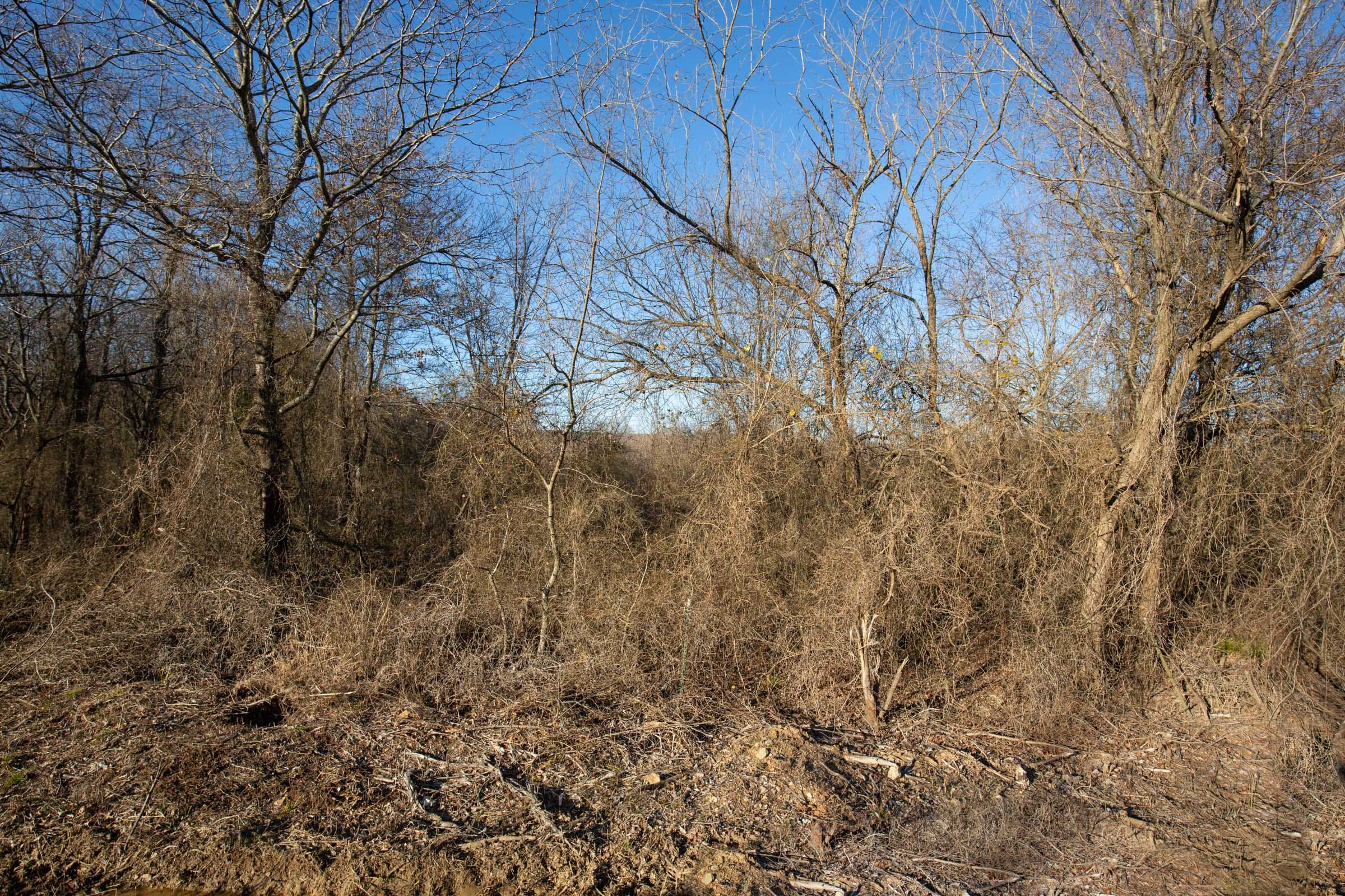 Painted Horse Tract 46 photo 11