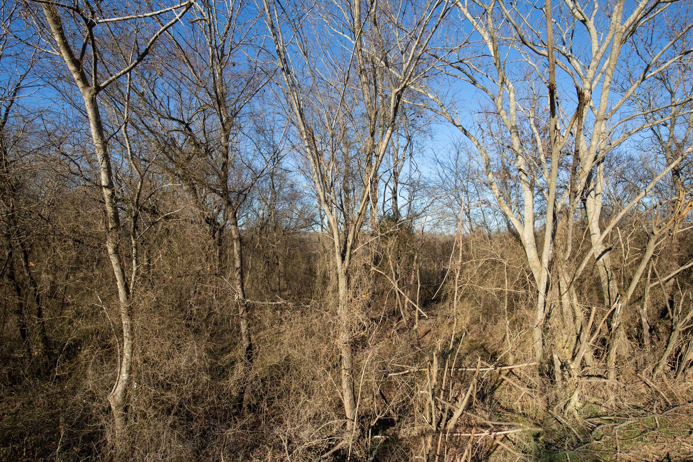 Painted Horse Tract 46 photo 12