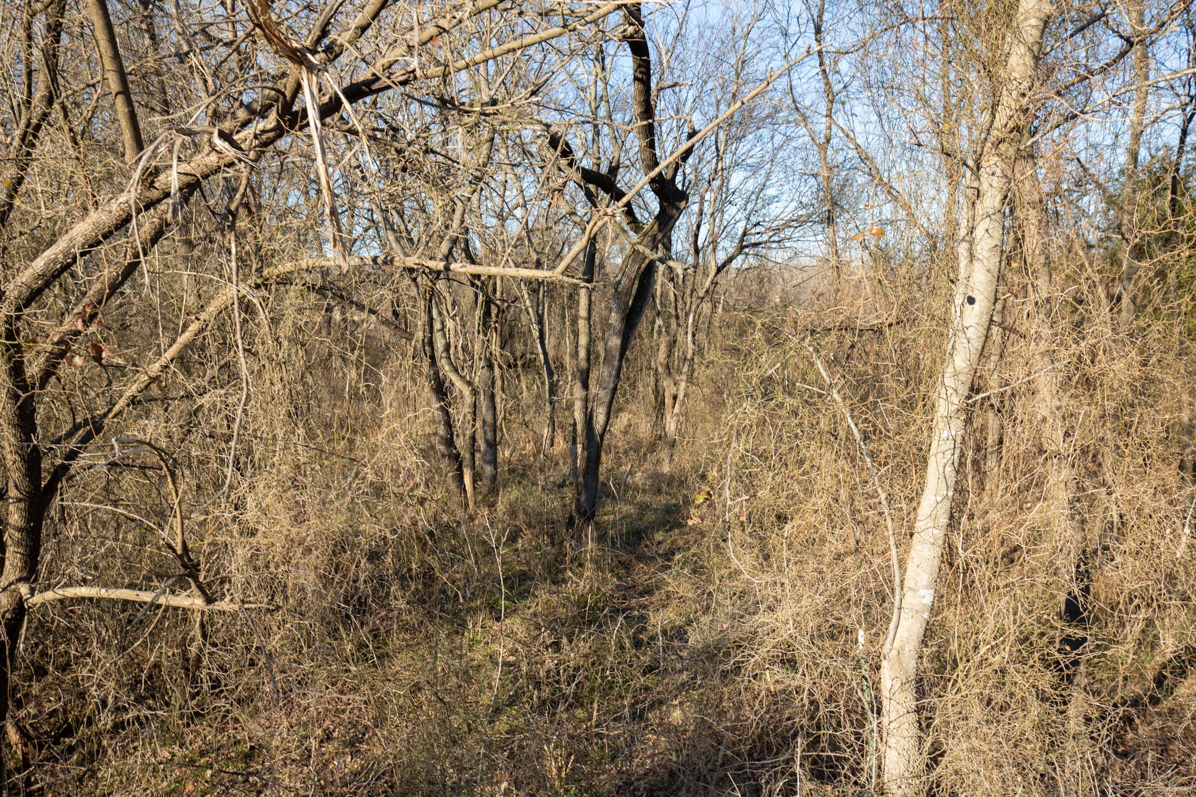Painted Horse Tract 46 photo 13