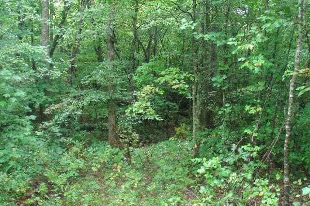 Sugartree Falls Tract 45 photo 1