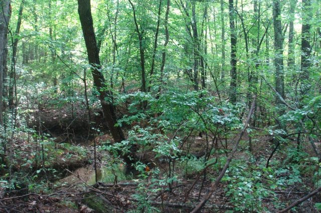 Sugartree Falls Tract 45 photo 2