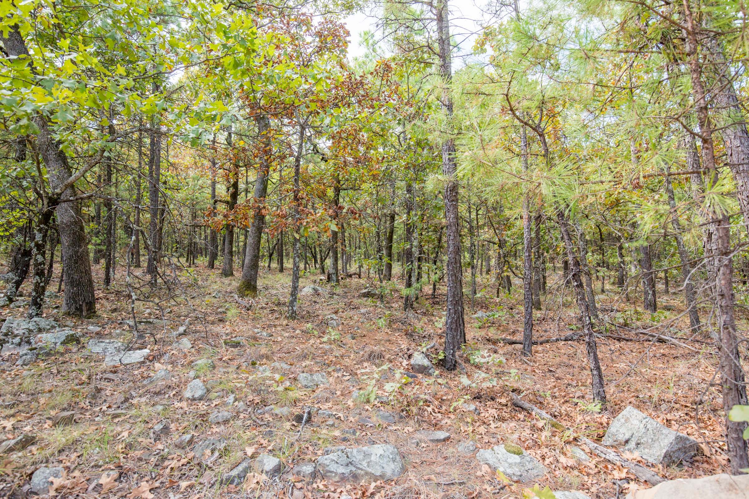 Stone Bridge Phase I Tract 37 photo 8