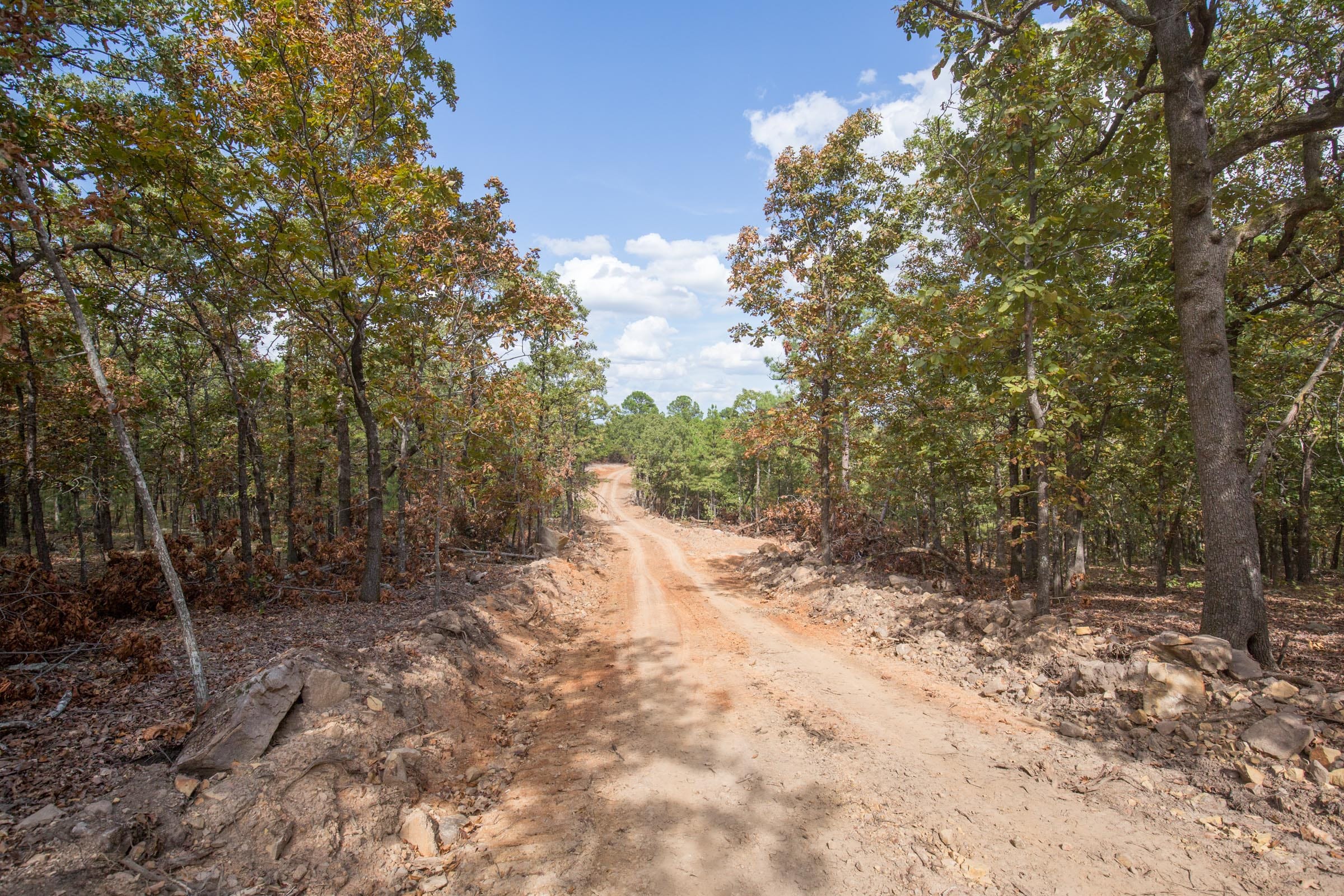 Stone Bridge Phase I Tract 37 photo 9