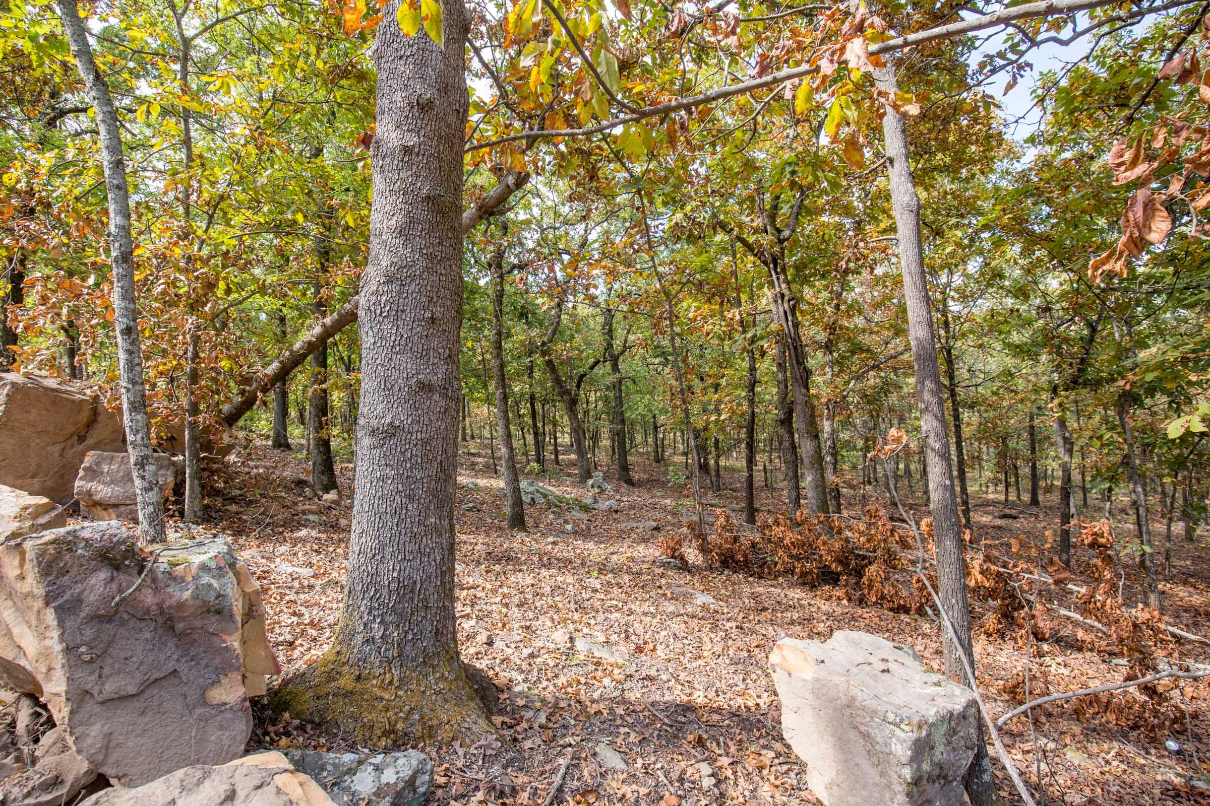 Stone Bridge Phase I Tract 37 photo 11