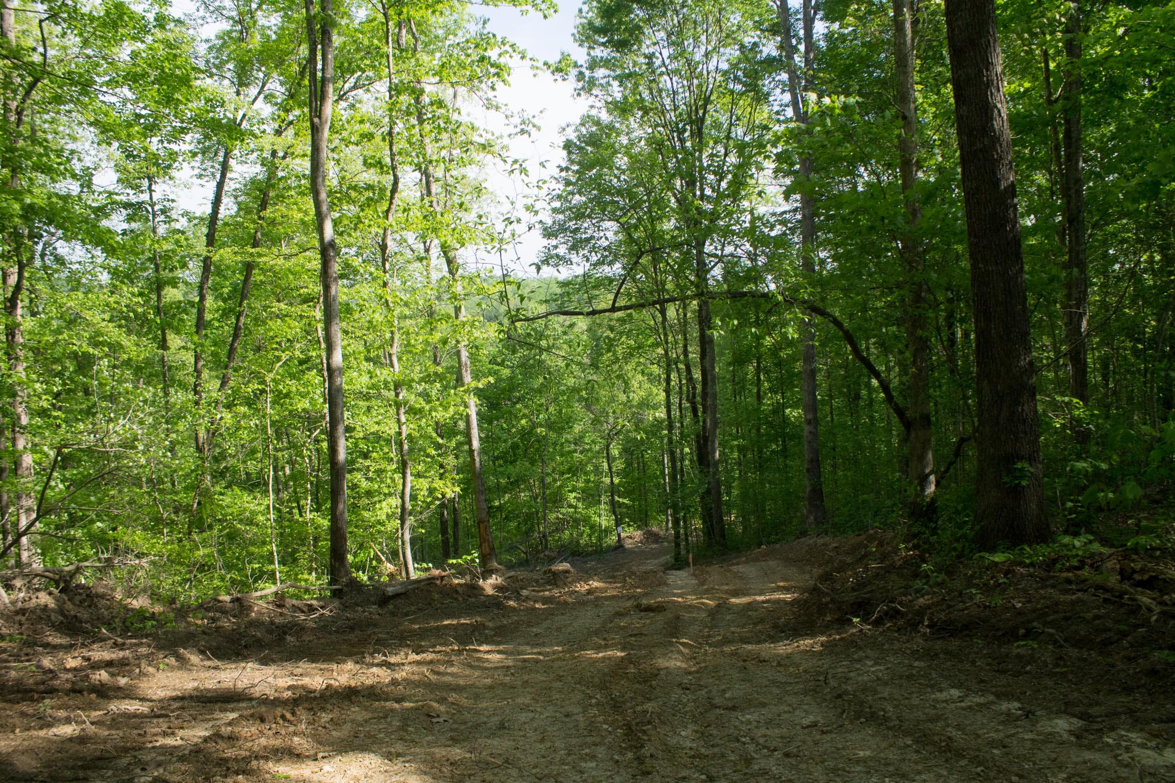 Trails End Tract 19 photo 2