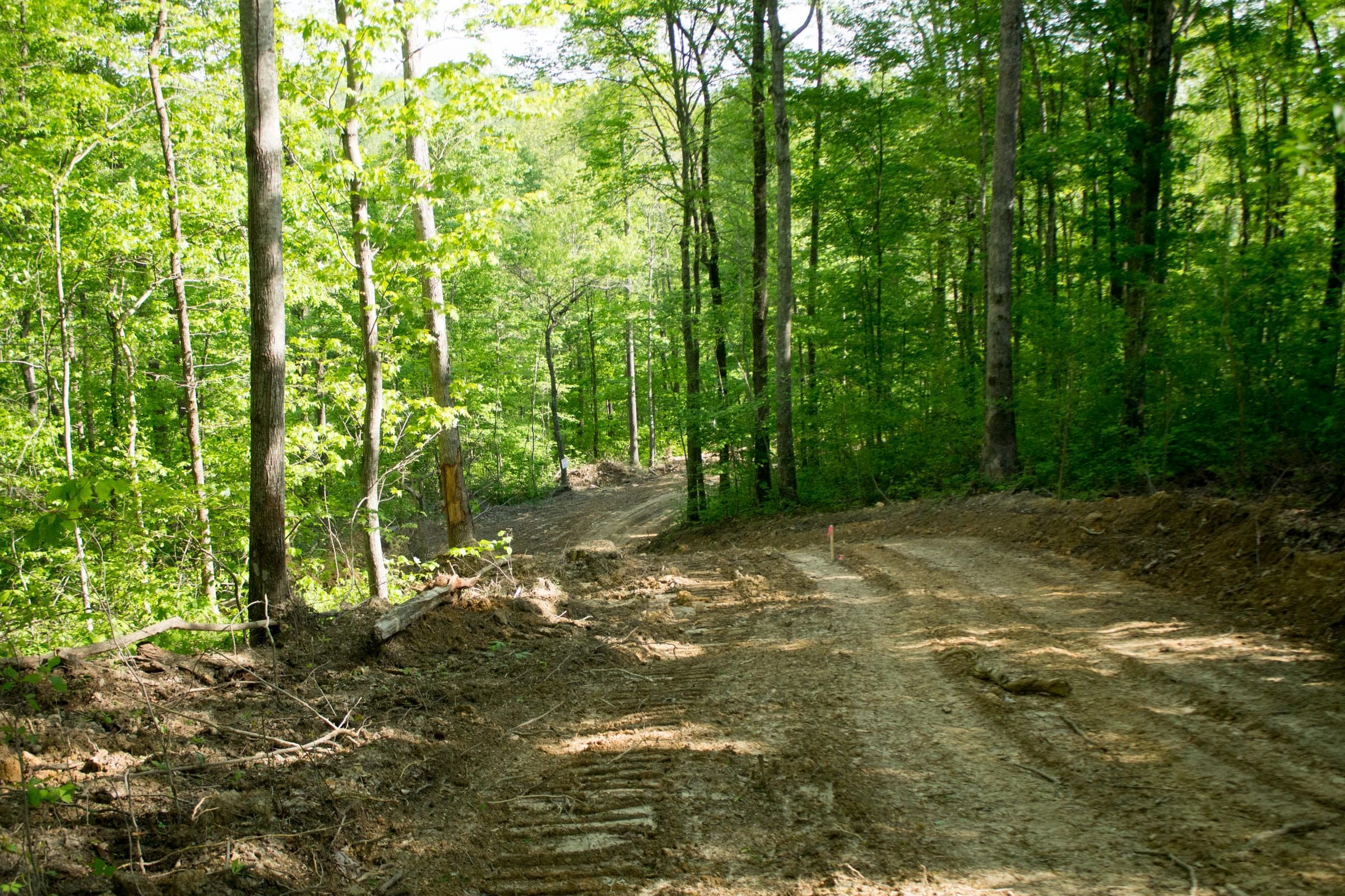 Trails End Tract 19 photo 4