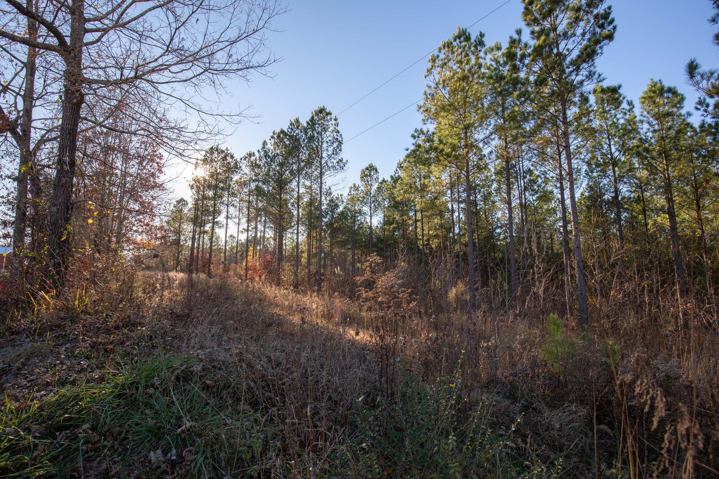 Whetstone Pines Tract 4 photo 9