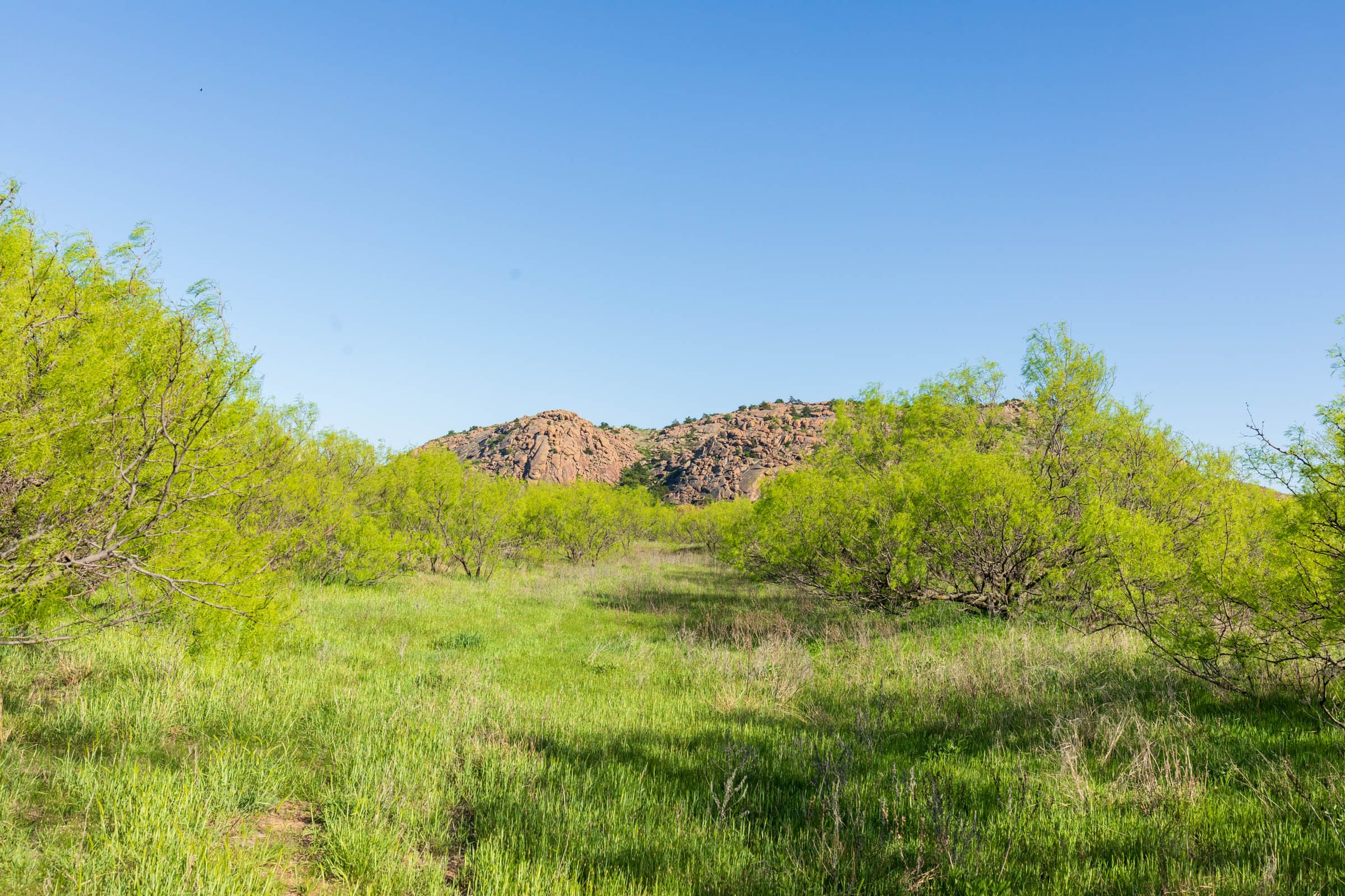 Hackberry Fields Tract 26 photo 14