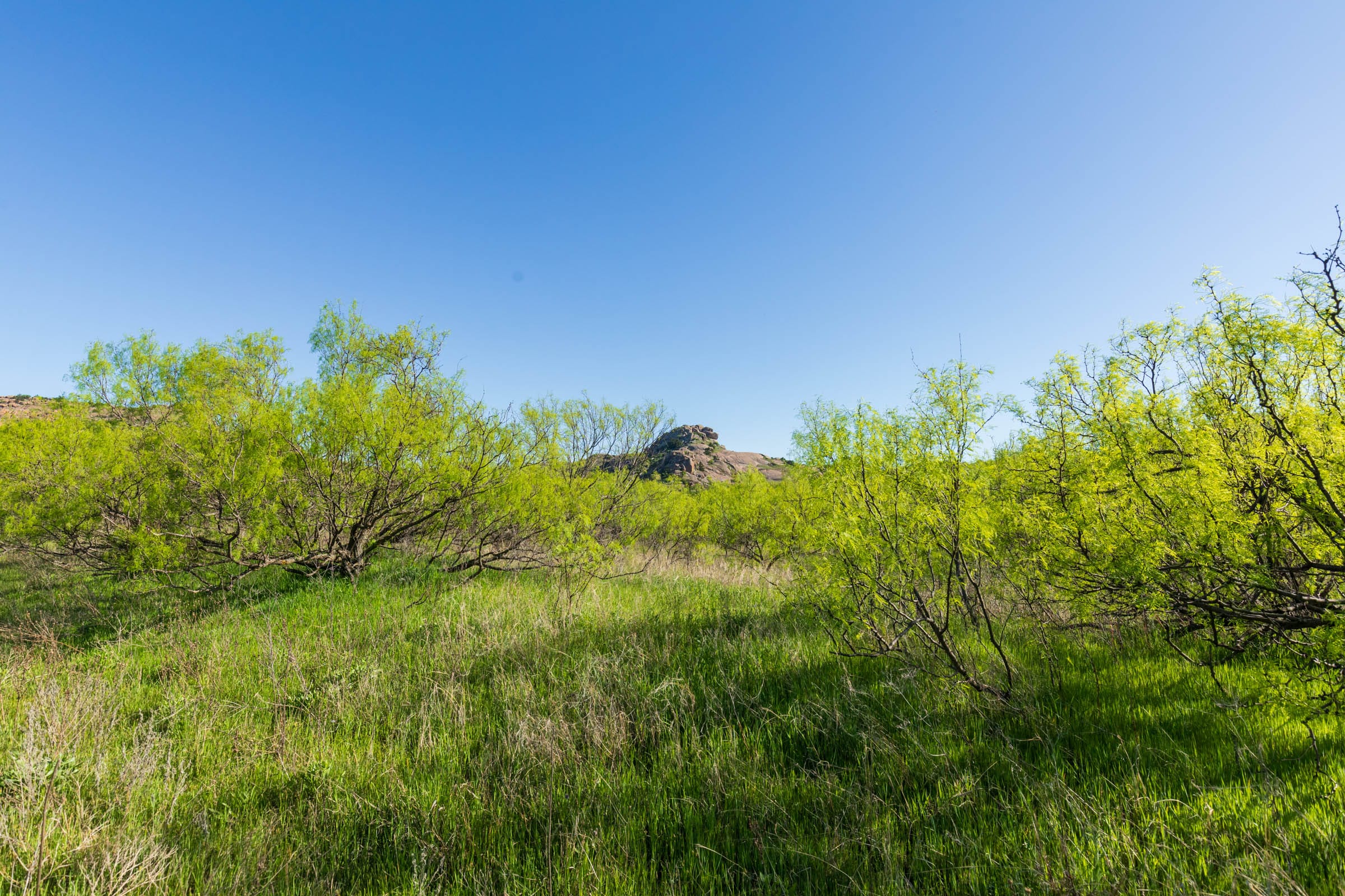 Hackberry Fields Tract 26 photo 5