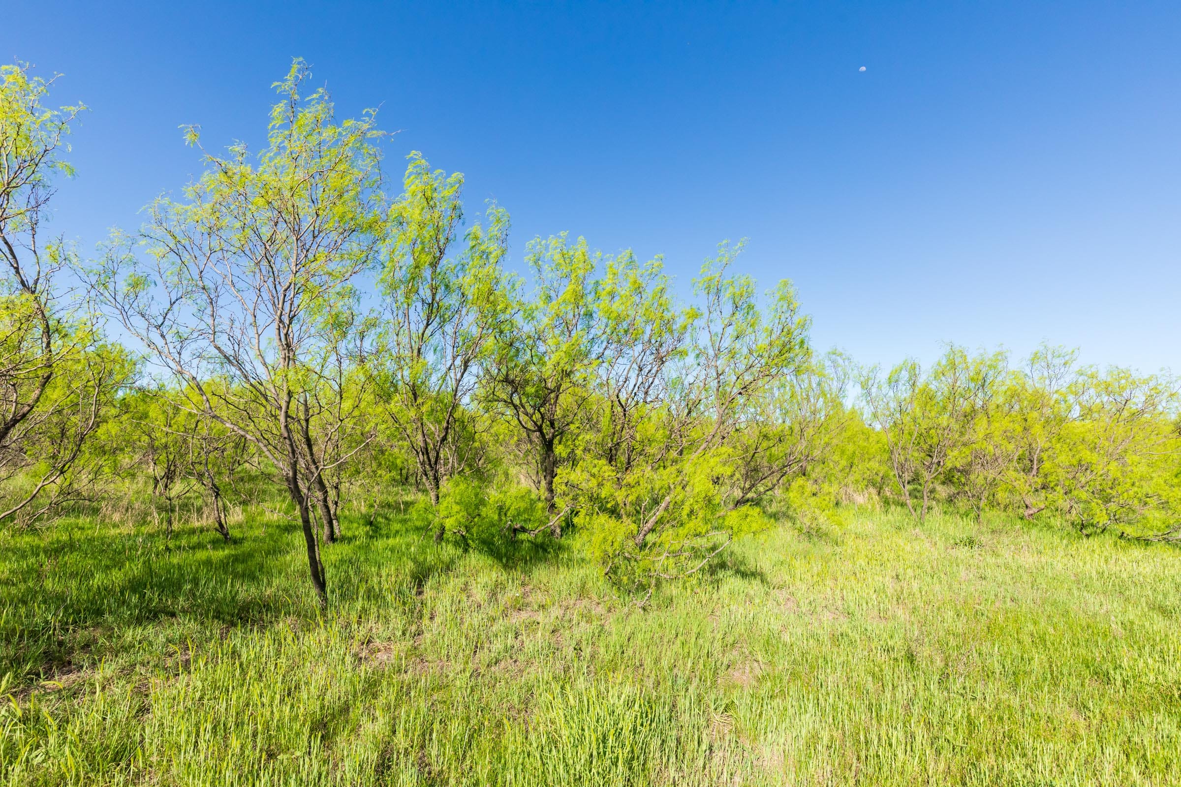 Hackberry Fields Tract 26 photo 15
