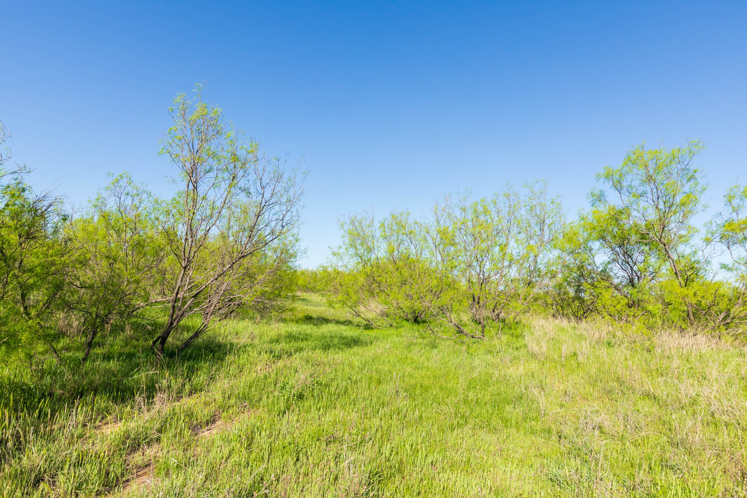 Hackberry Fields Tract 26 photo 10