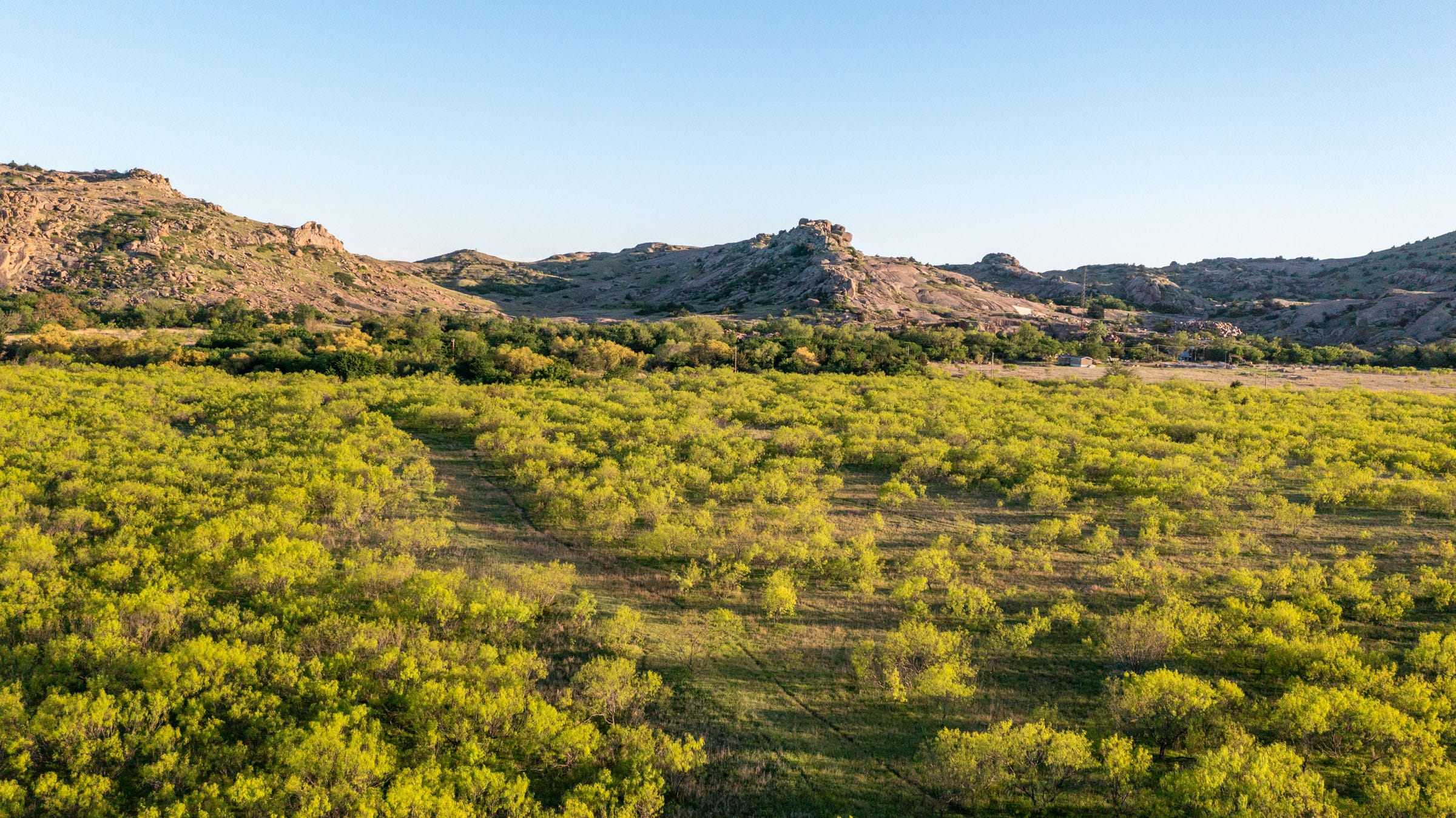 Hackberry Fields Tract 26 photo 4