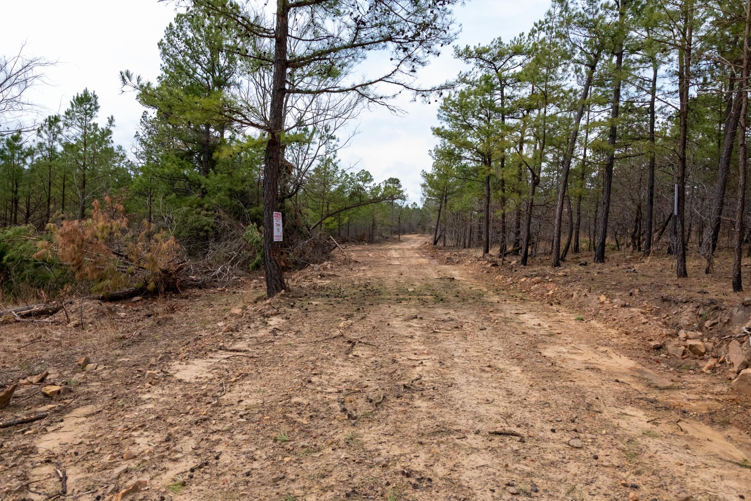 Stone Bridge Phase III Tract 198 photo 1