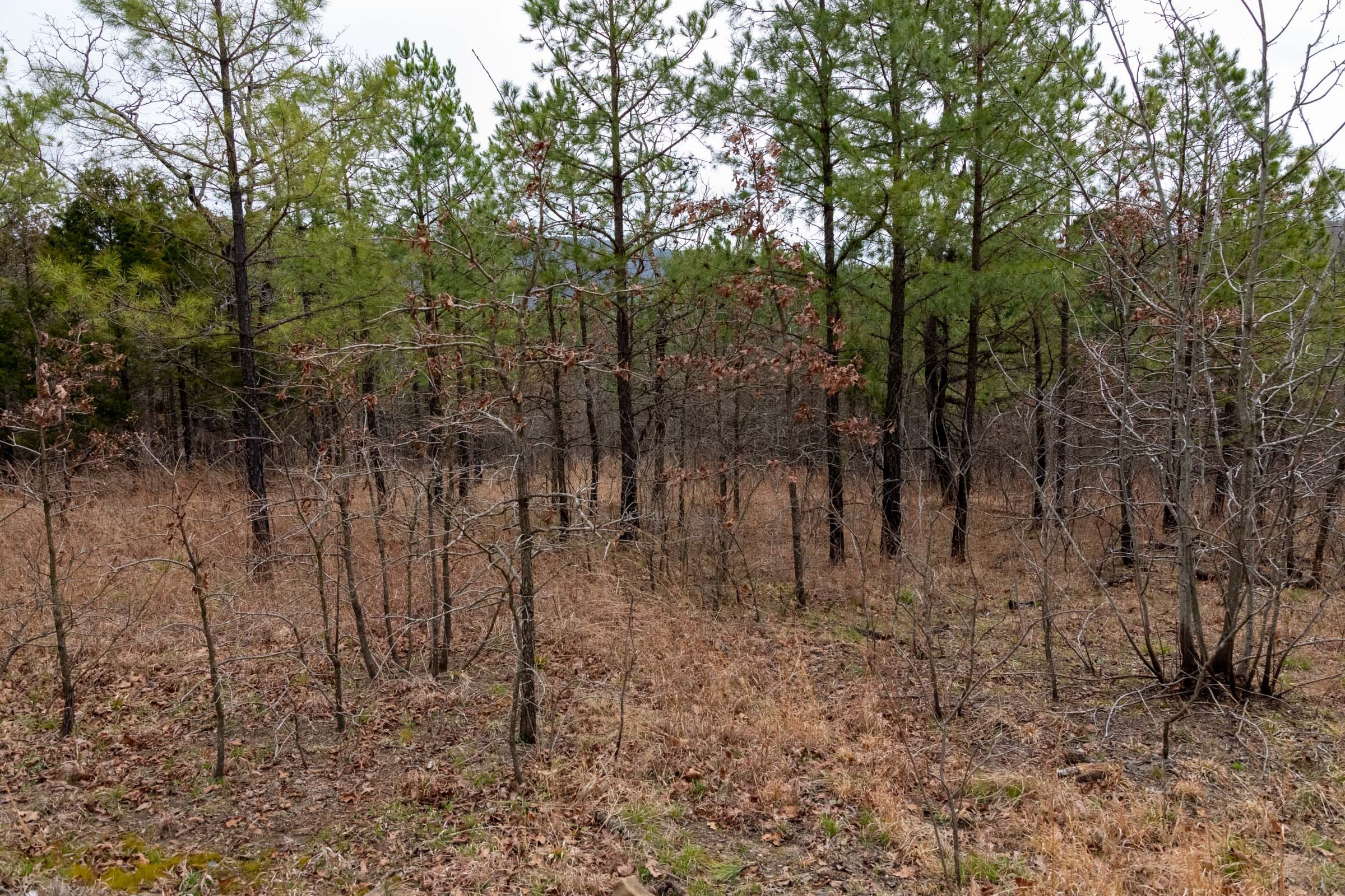 Stone Bridge Phase III Tract 198 photo 2