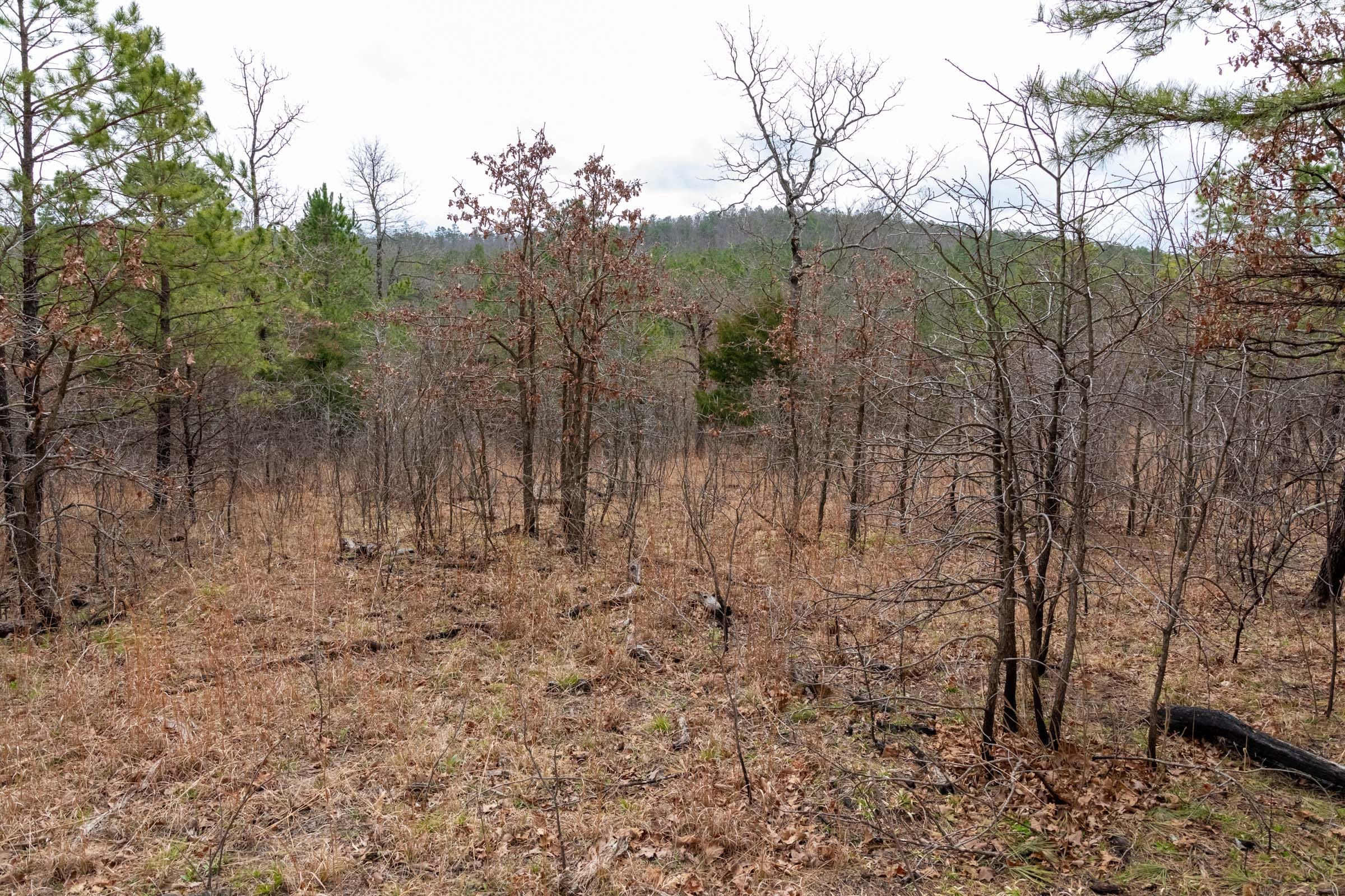 Stone Bridge Phase III Tract 198 photo 3