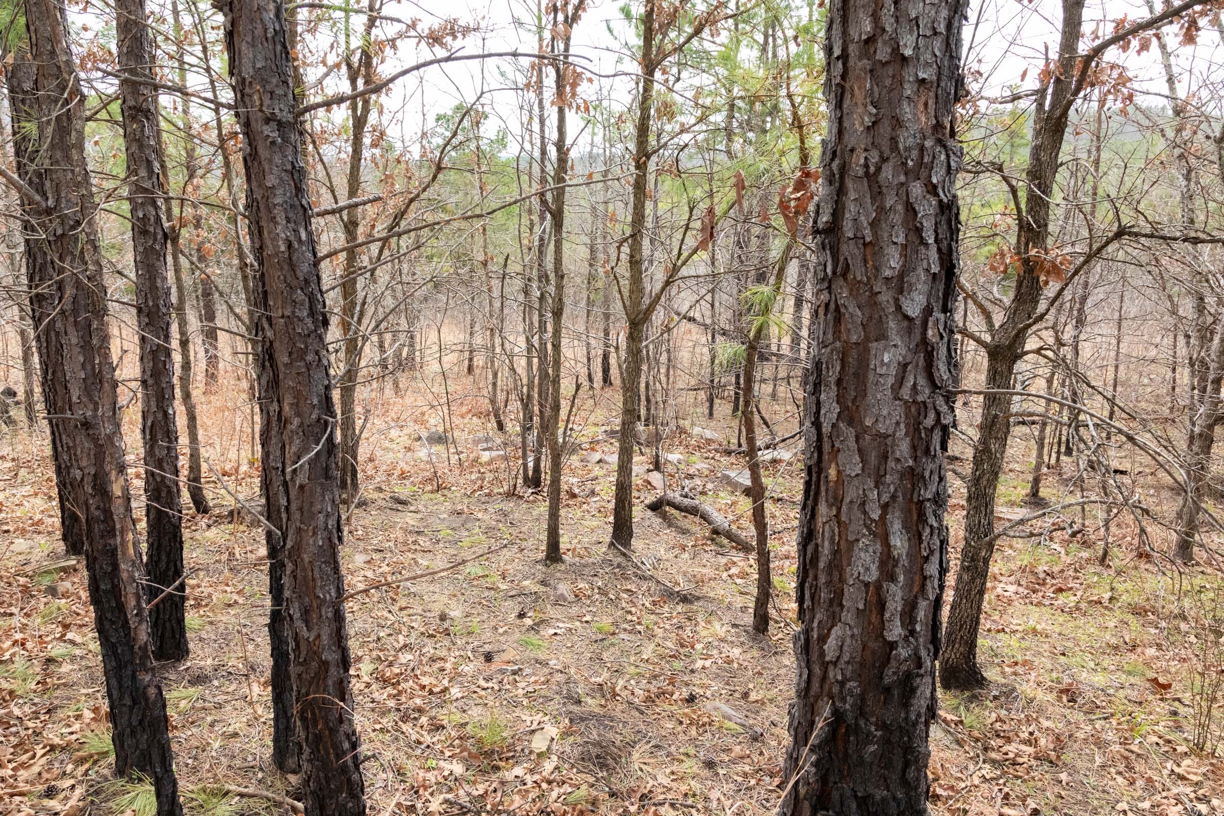 Stone Bridge Phase III Tract 198 photo 6