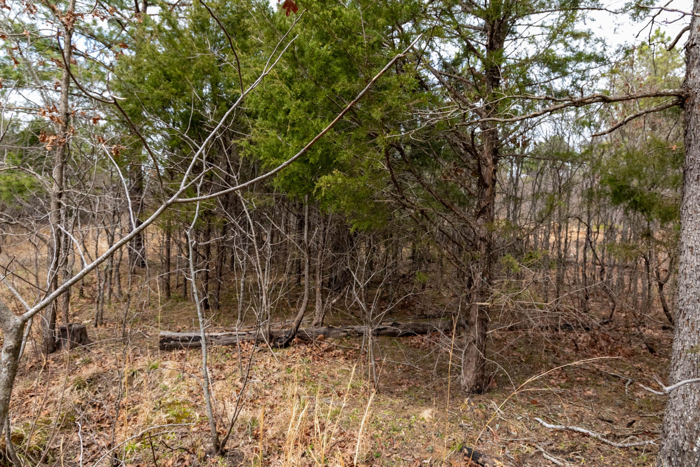 Stone Bridge Phase III Tract 198 photo 8