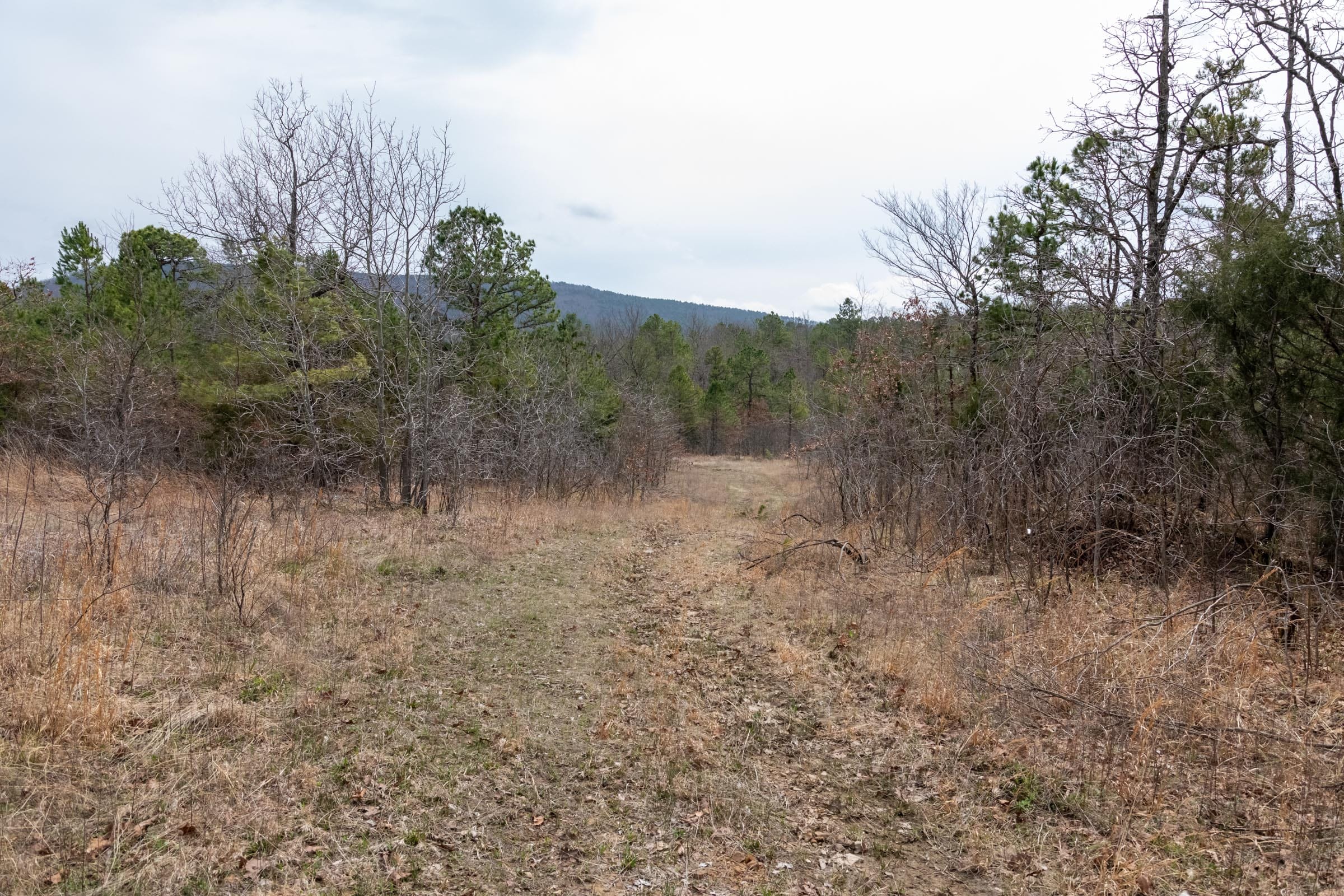 Stone Bridge Phase III Tract 198 photo 4