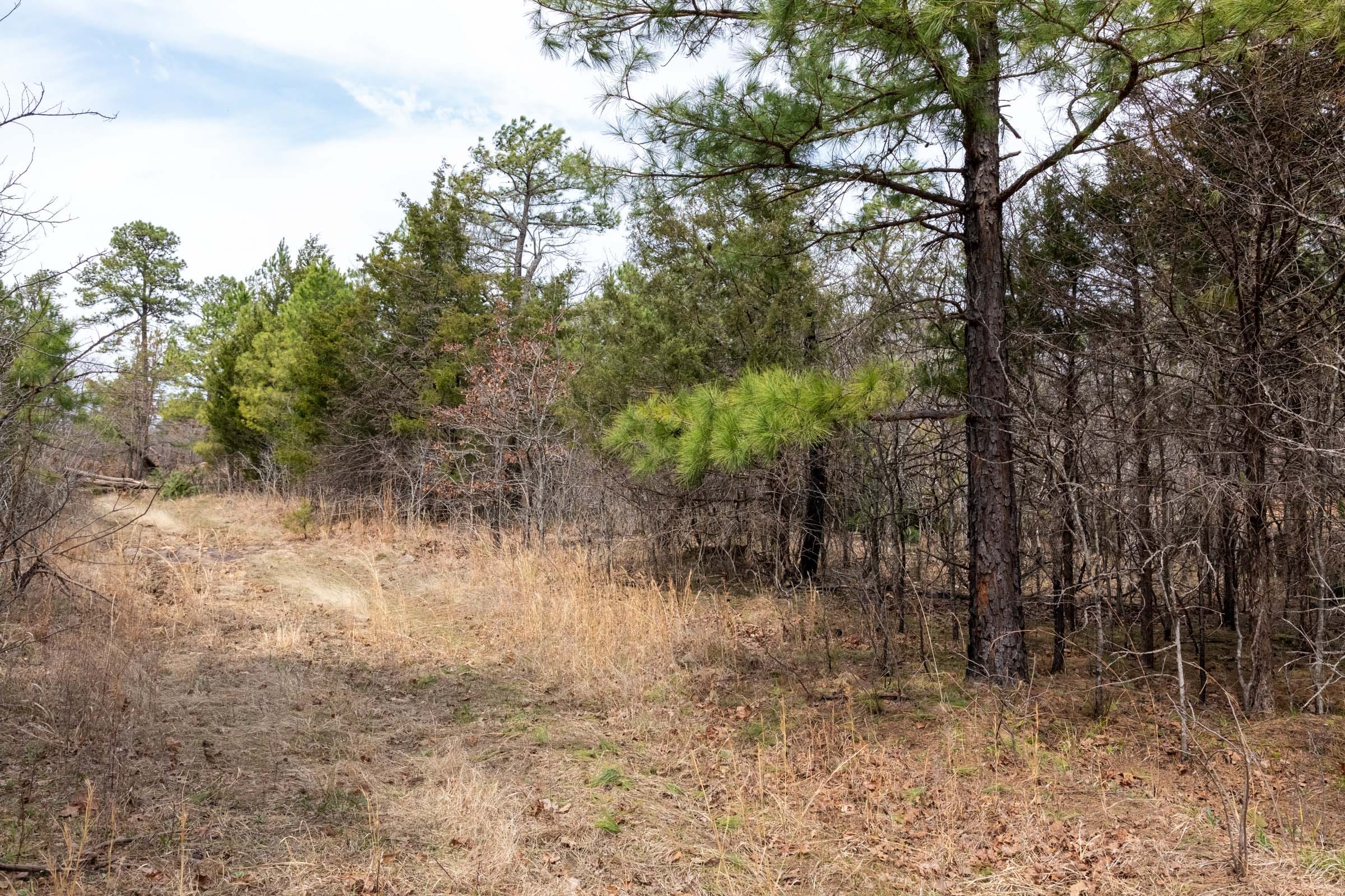 Stone Bridge Phase III Tract 198 photo 9