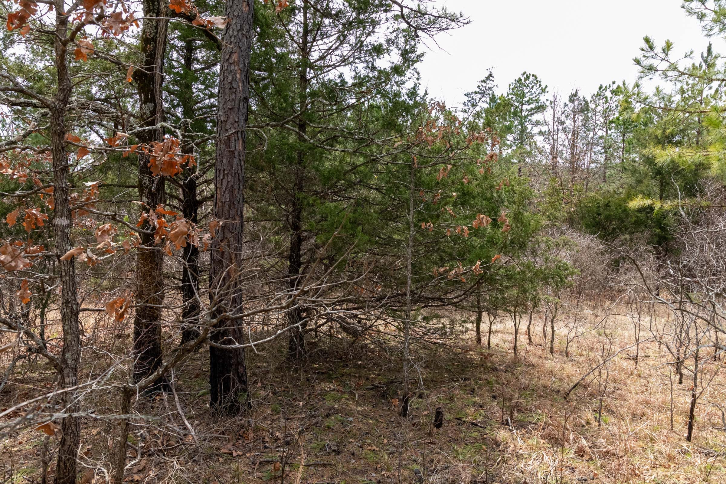 Stone Bridge Phase III Tract 198 photo 10