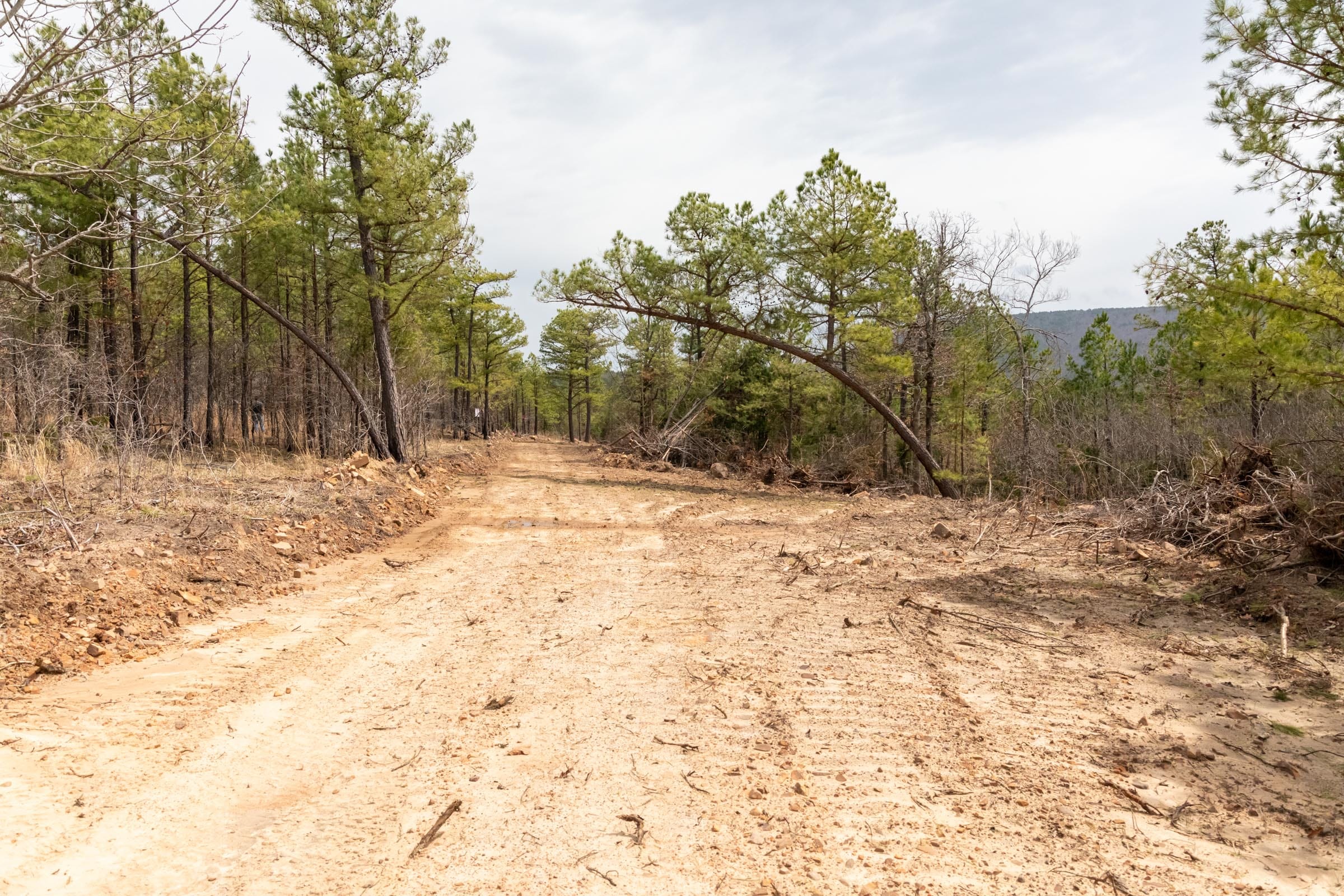 Stone Bridge Phase III Tract 198 photo 7