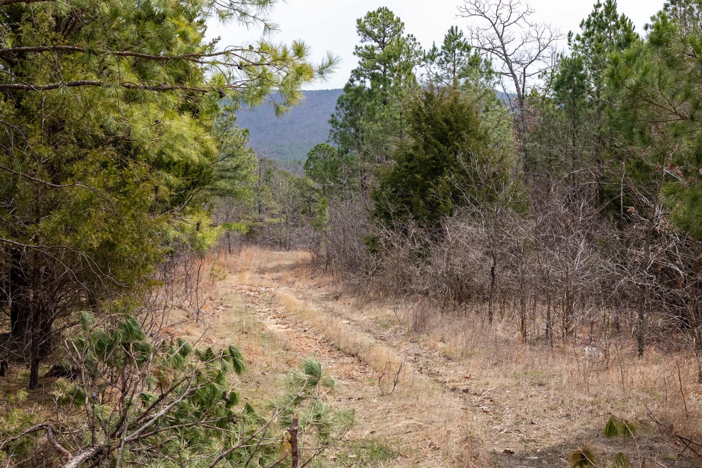 Stone Bridge Phase III Tract 198 photo 11