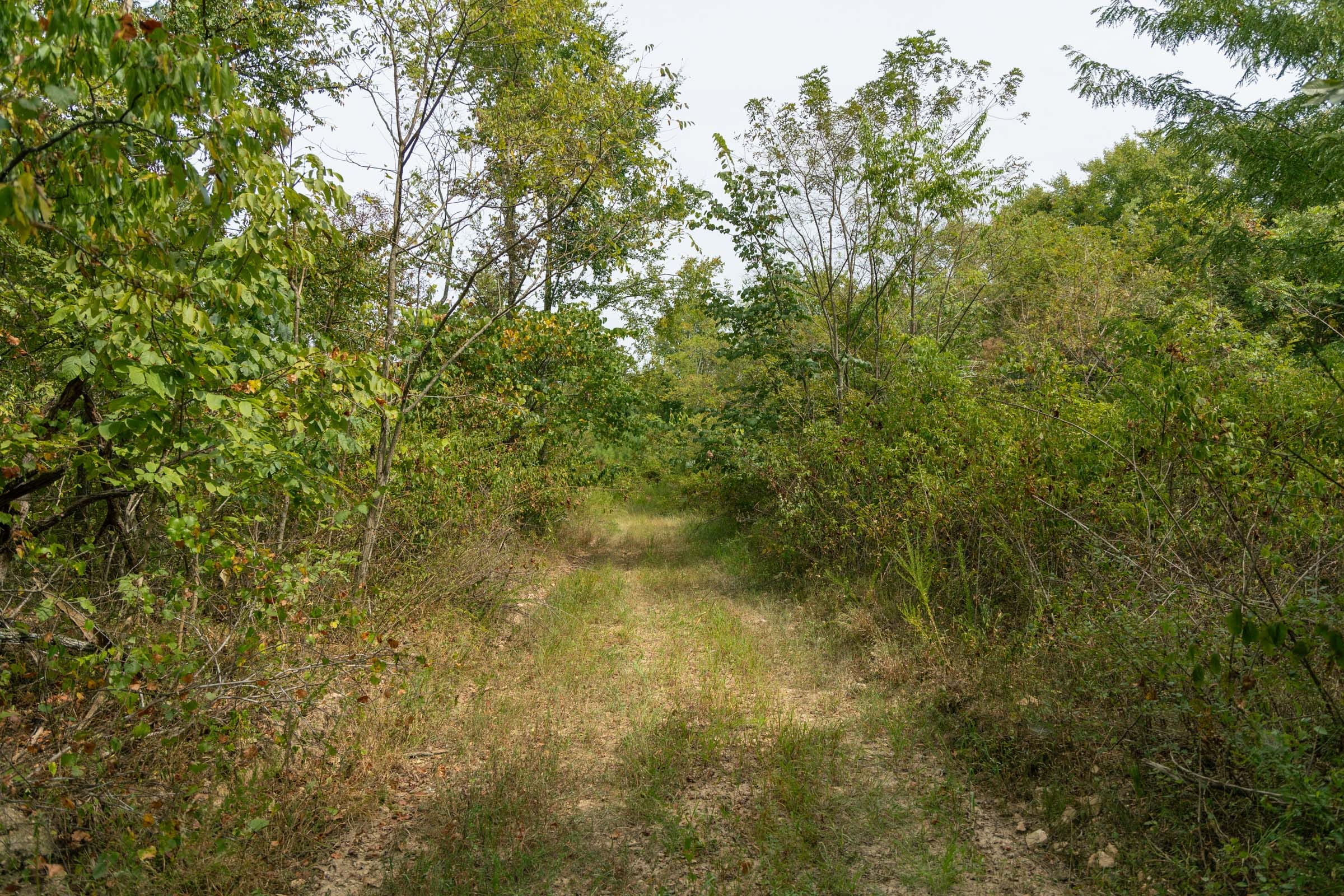 Big White Oak Tract 45 photo 1
