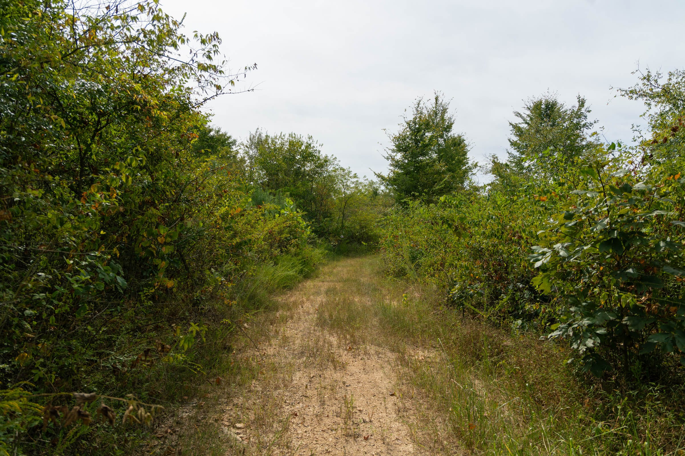 Big White Oak Tract 45 photo 4