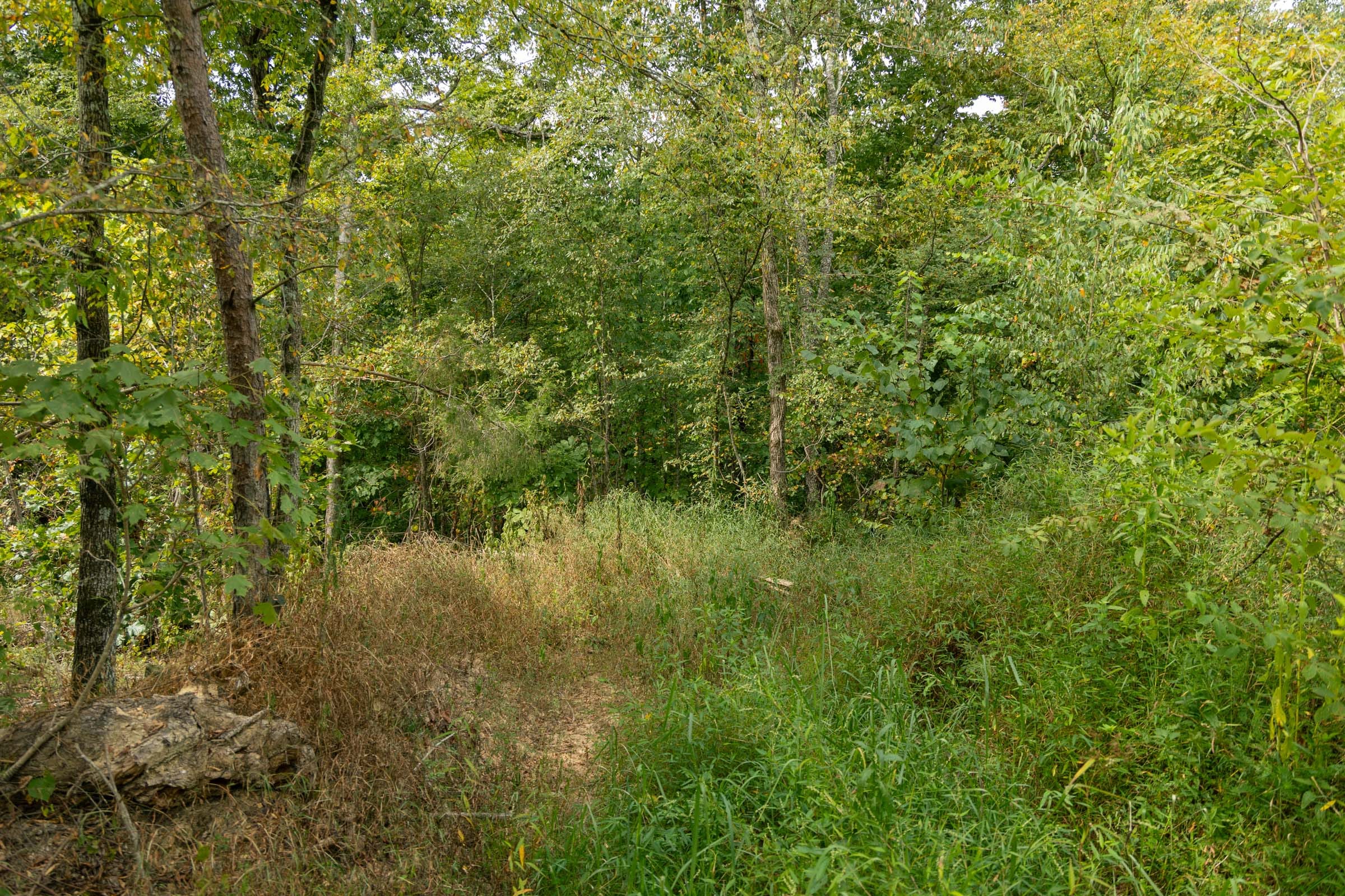 Big White Oak Tract 45 photo 7