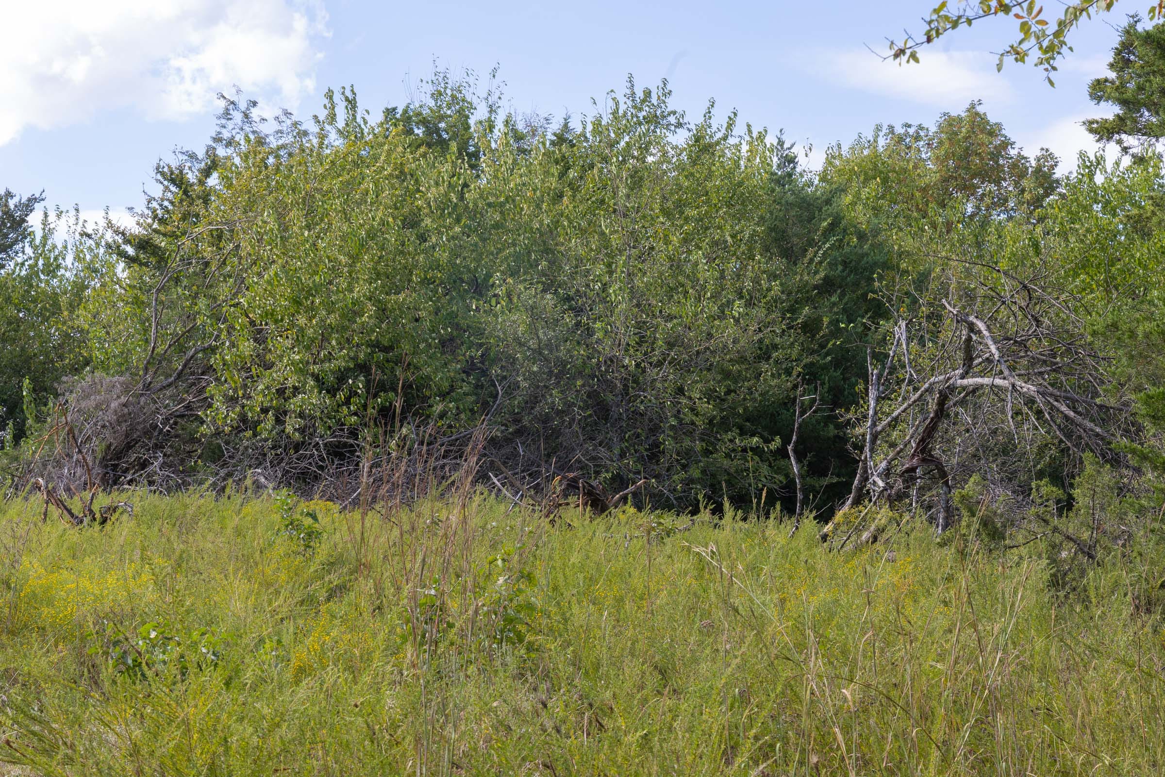 Reserves At Cattail Cove Phase II Tract 43 photo 4