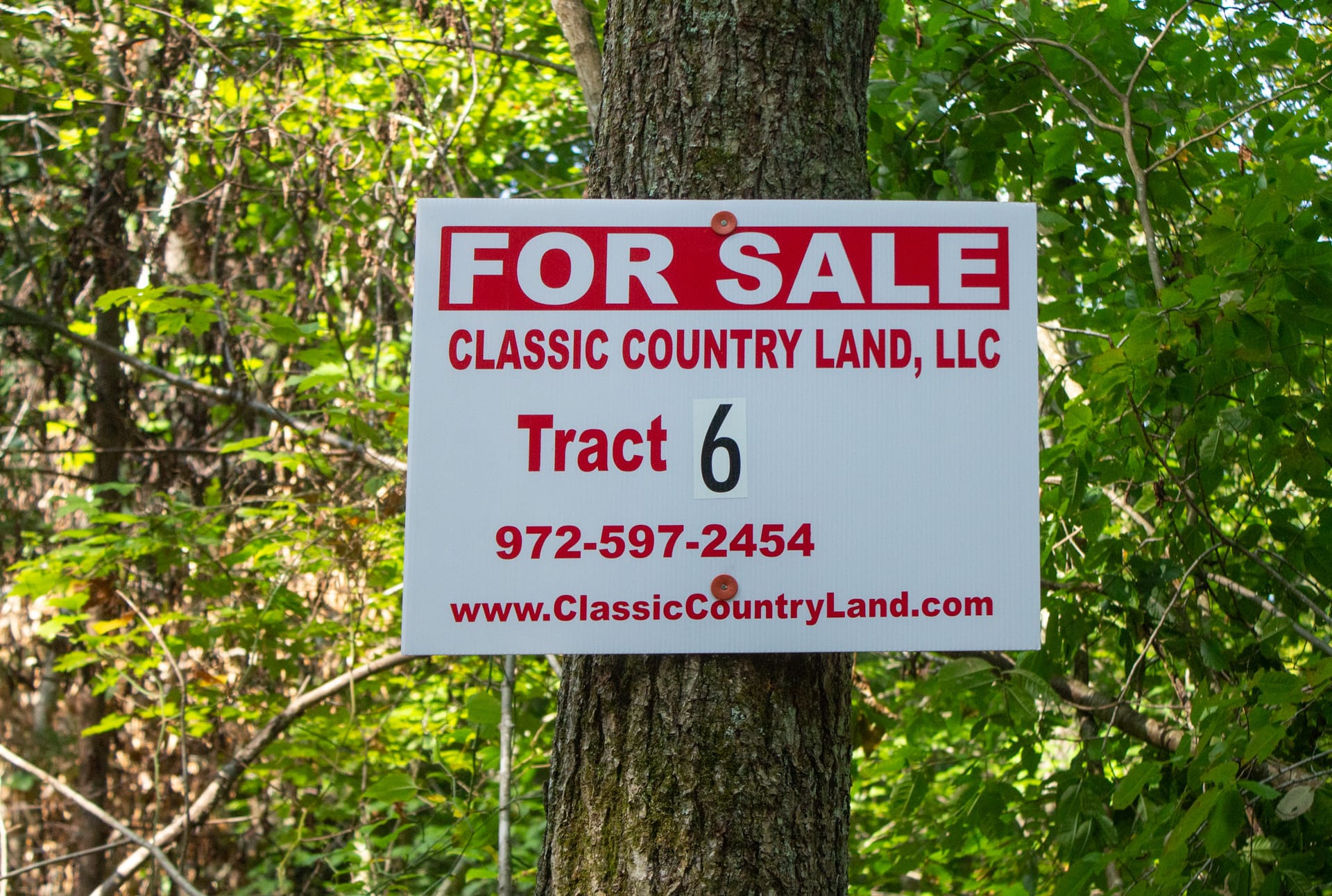 Bluegrass Ridge Tract 6 photo 1